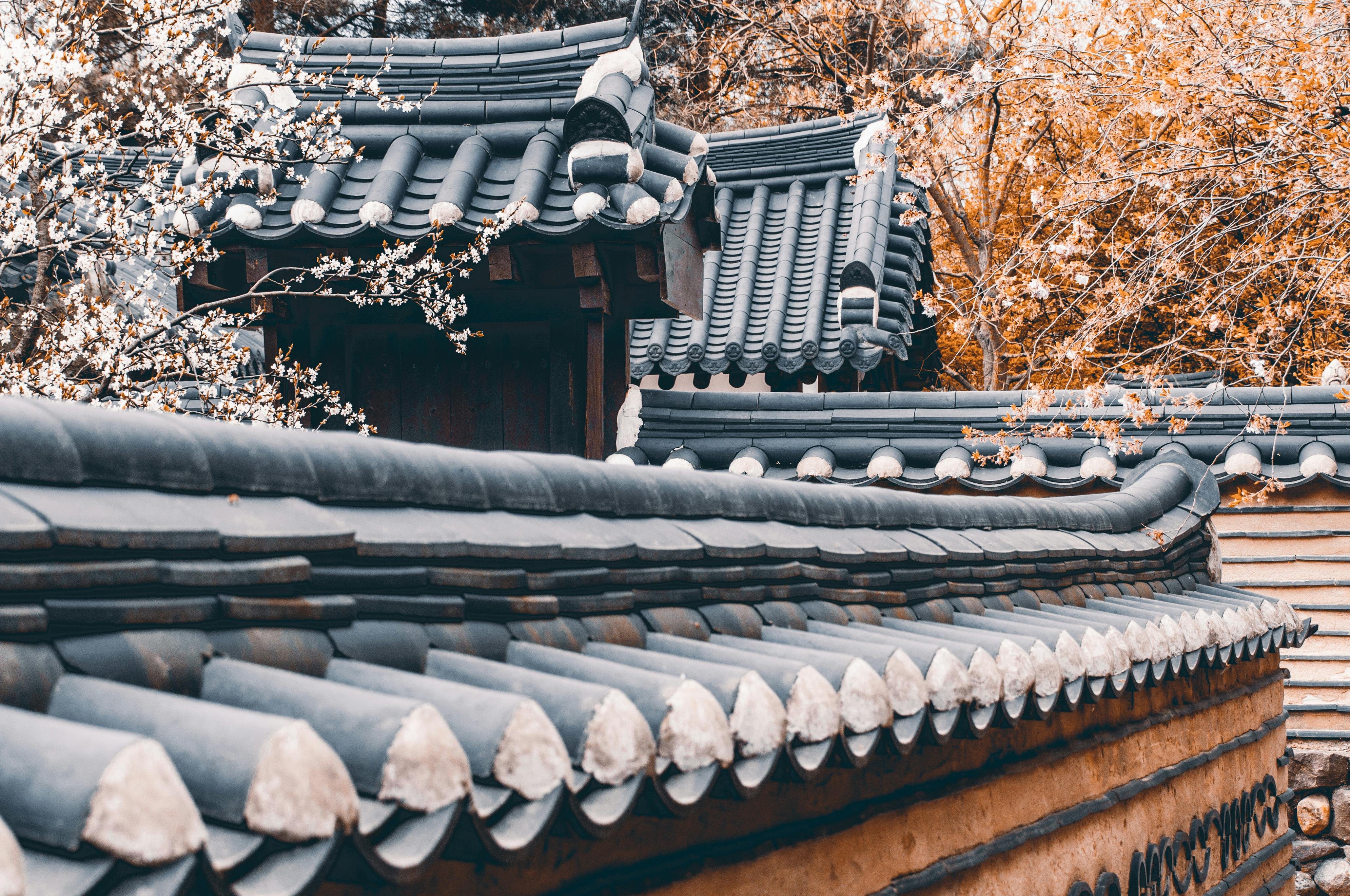 South Korea’s Kospi and Japan's Nikkei tumble more than 5% as Trump-Iran threats escalate