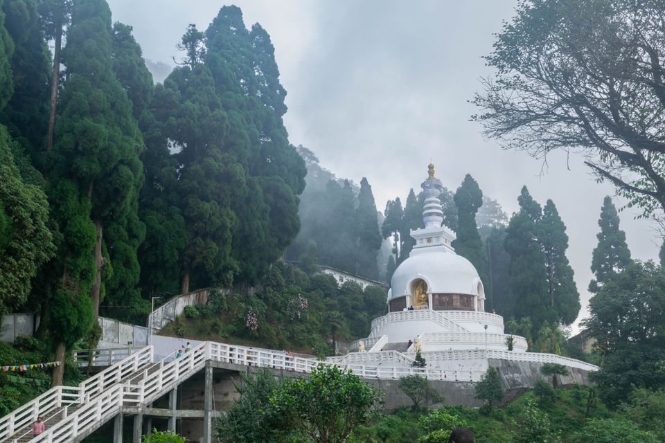 The white Peace Pagoda at Darjeeling with its gilded finial and Buddha niche, tall conifers and mist around it