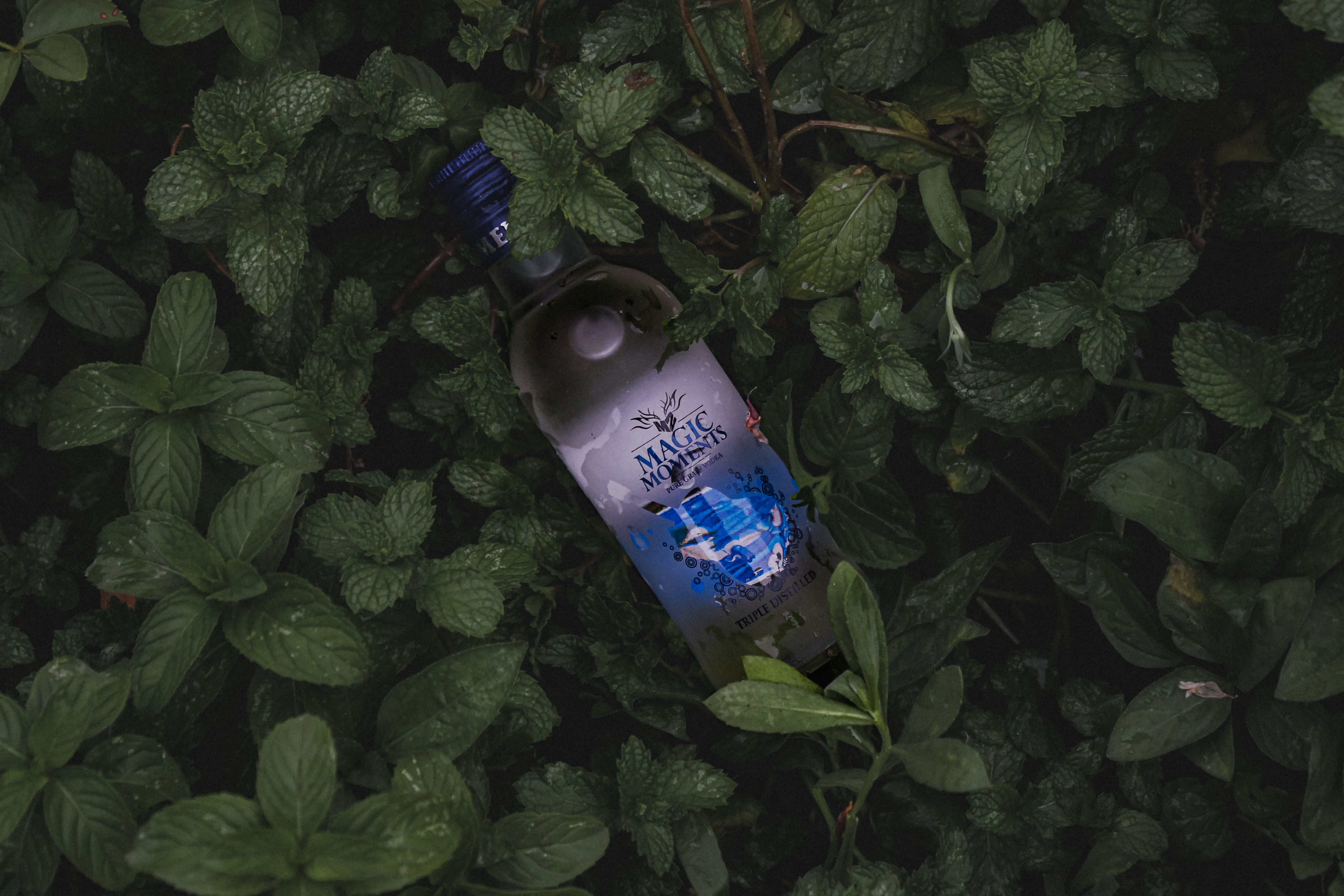 Beverages, spirits and vinegar