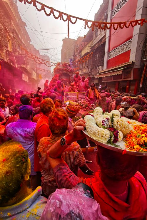 Free Colorful Holi festival celebration in Kolkata, India with people covered in vibrant powders. Stock Photo
