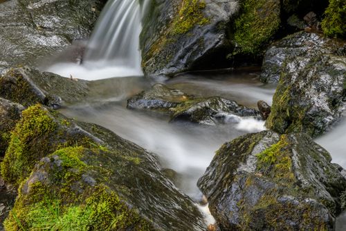 Free Peaceful waterfall cascading over rocks with lush green moss in a forest setting. Stock Photo