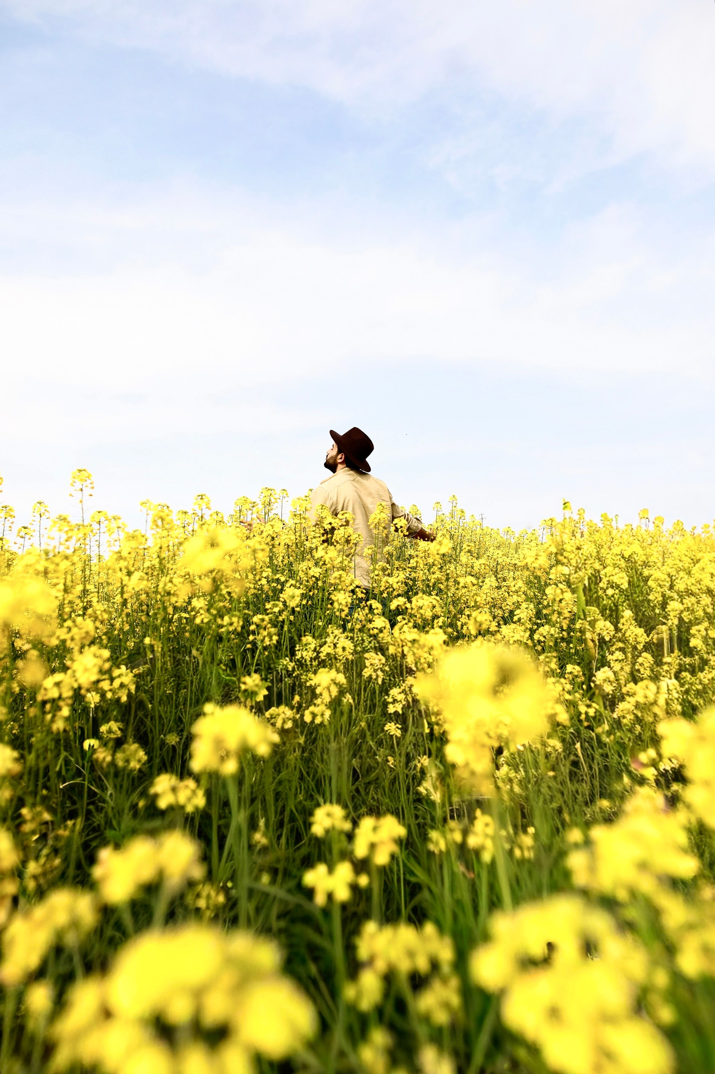 Man Enjoying Nature in Philippine Mountain Field · Free Stock Photo