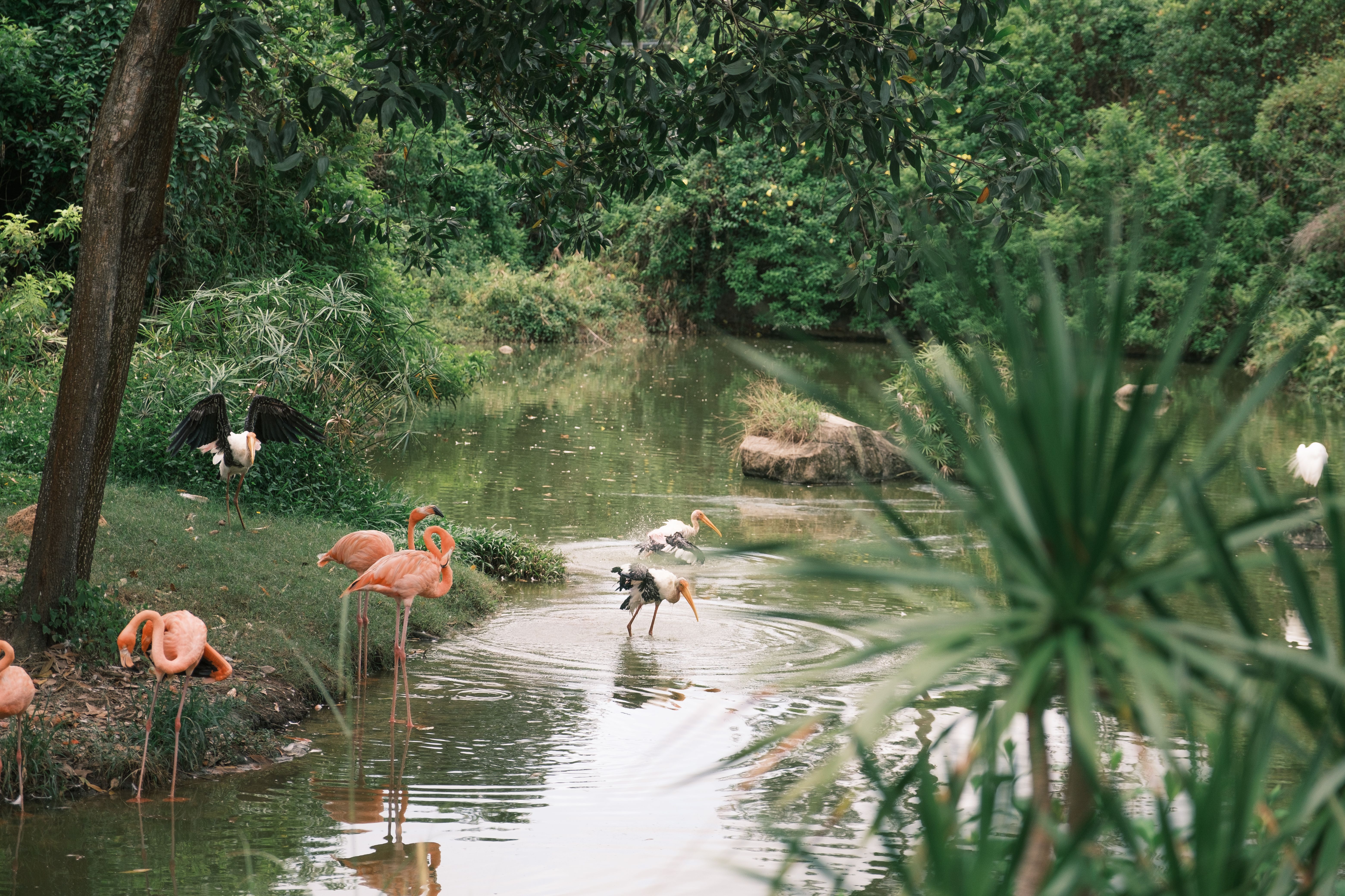 Nguuni Nature Sanctuary