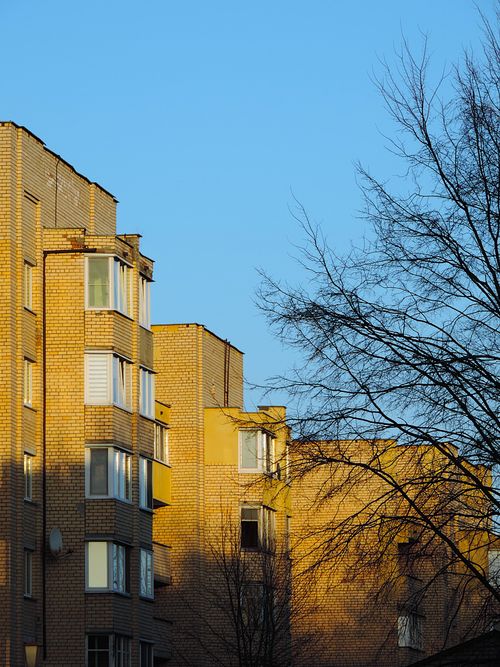 Free Golden sunlight on apartment buildings with clear blue sky and bare trees. Stock Photo