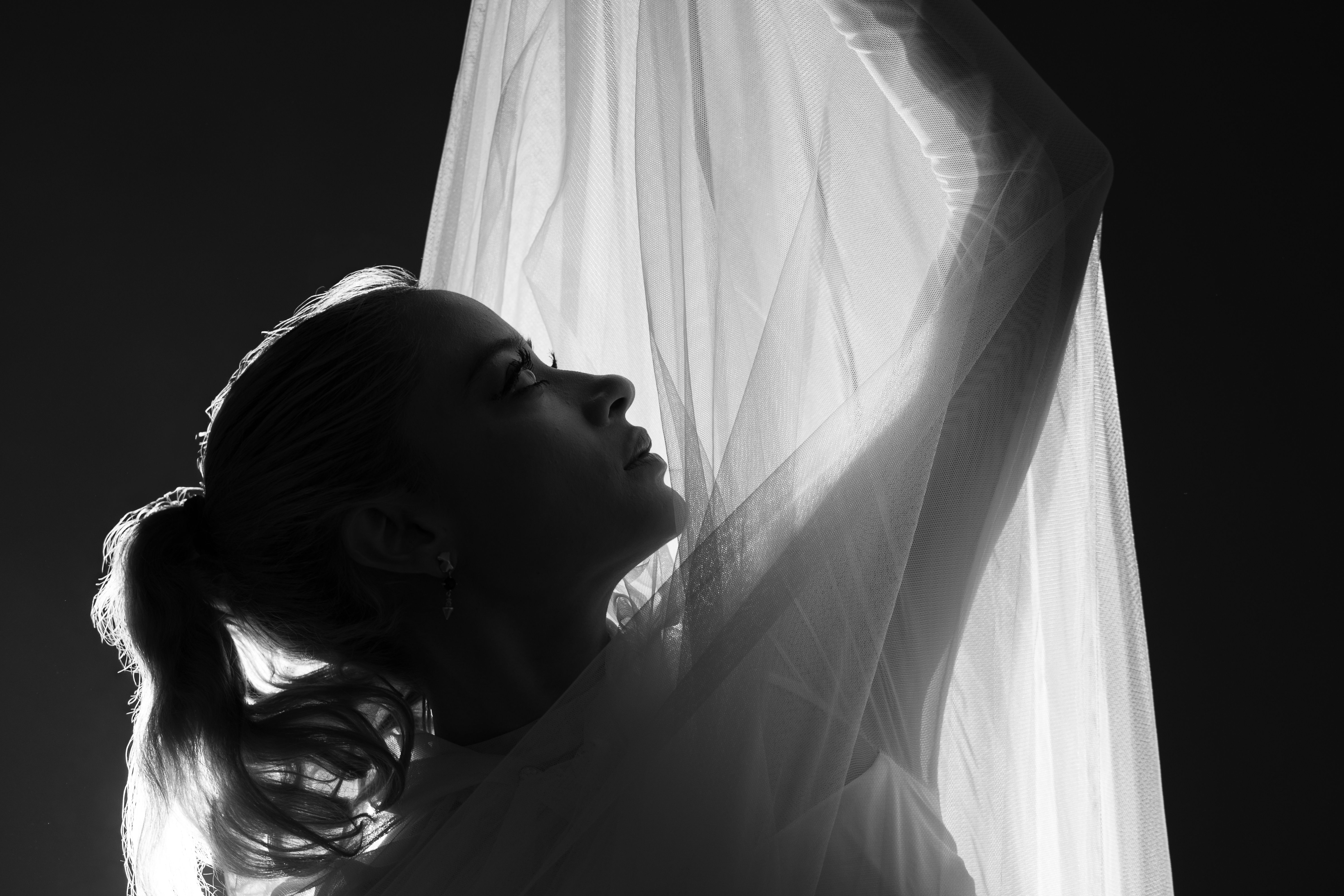 Woman under Veil in Black and White · Free Stock Photo