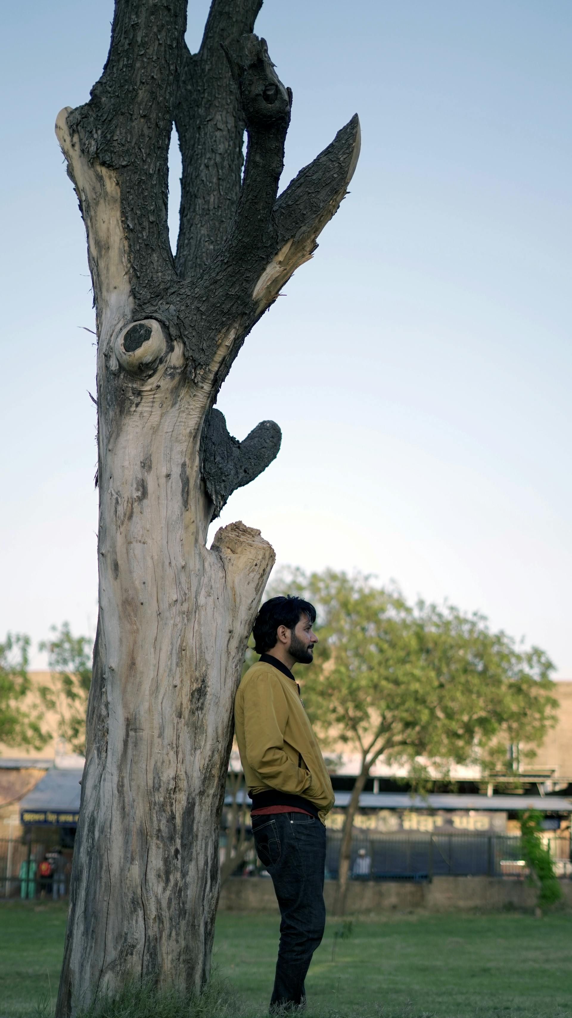 A man in casual attire leans against a tree in an outdoor park setting.