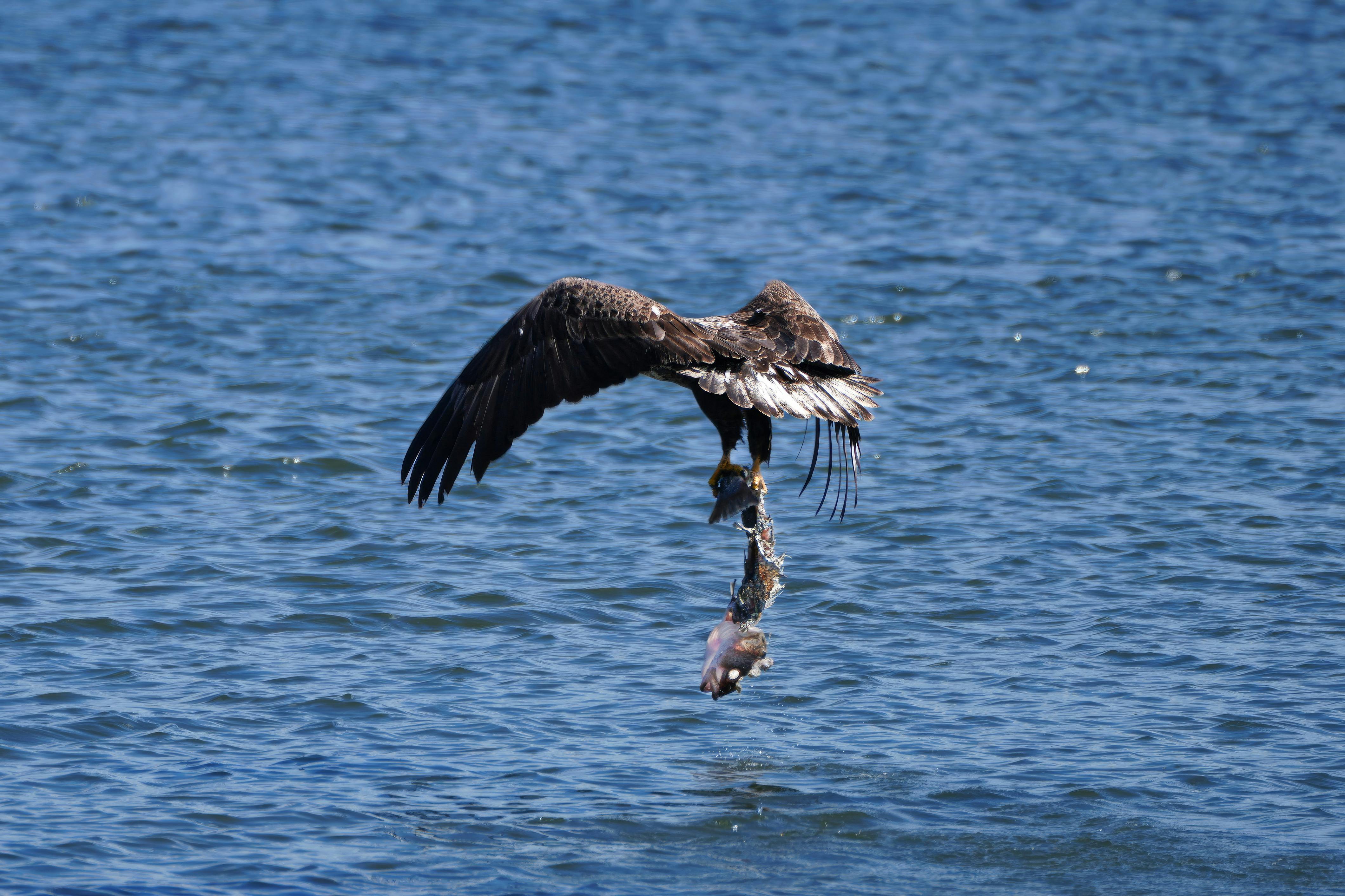 QCCA Fishing, Hunting and Outdoor Adventure Show returns this weekend — Photo by Cara Denison on Pexels