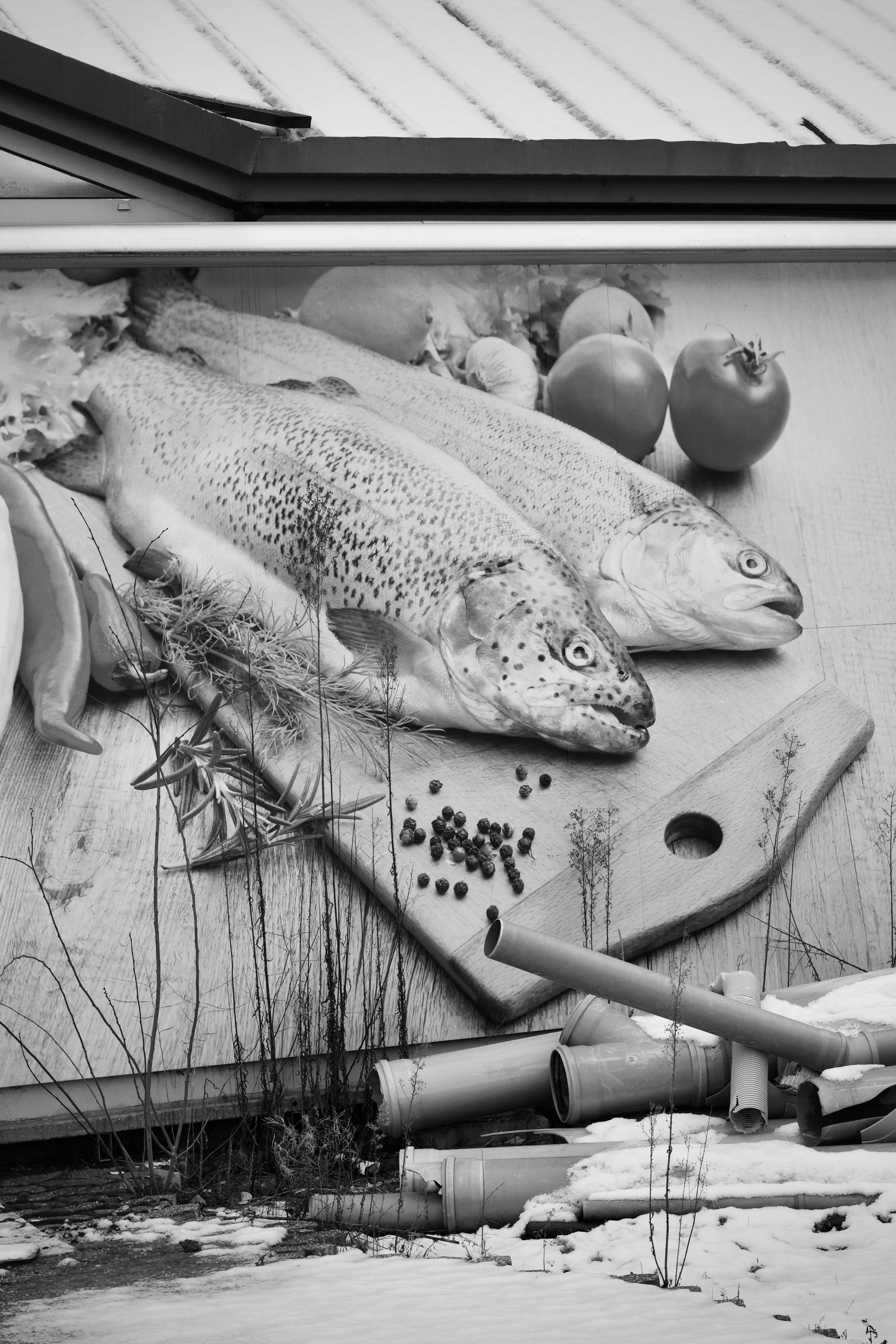 Artistic black and white photo of raw fish and vegetables on a cutting board.