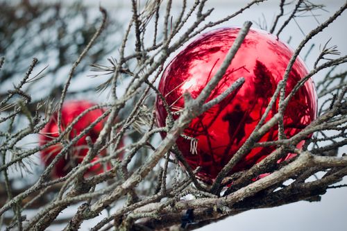 Free Close-up of a red Christmas ornament amidst bare winter branches. Stock Photo