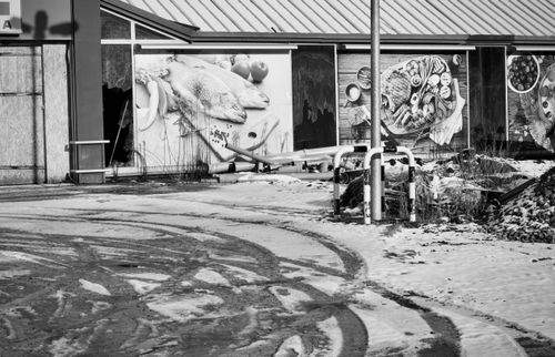 Free Black and white scene of an abandoned building with winter snow and street art murals. Stock Photo