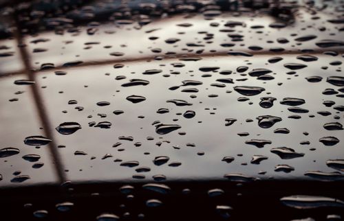 Free Close-up of raindrops on a surface forming reflective patterns in natural light. Stock Photo