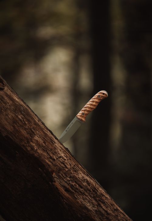 Free Close-up of a wooden-handled knife embedded in a tree trunk in a forest setting. Stock Photo
