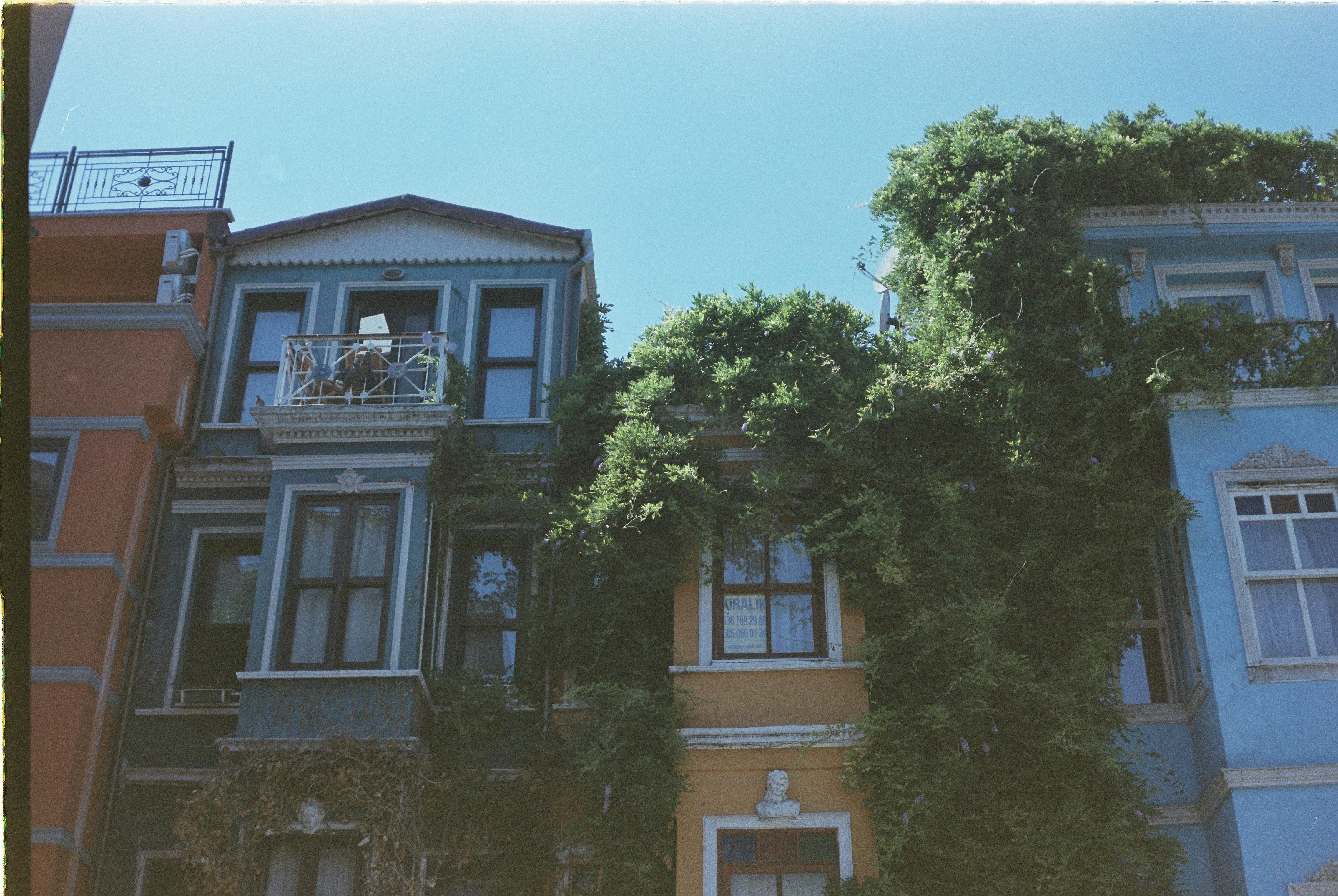 Choosing Your Istanbul Base: Sultanahmet, Beyoglu, or Besiktas?