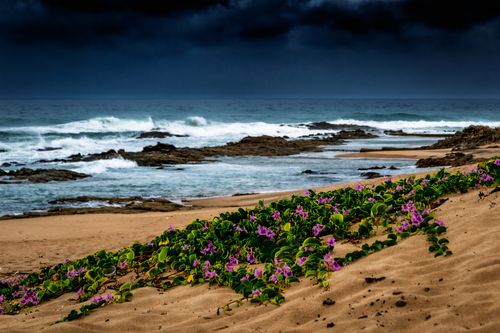 Free stock photo of beach, gordon's bay, stormfront Stock Photo