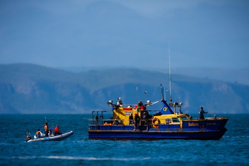 Free stock photo of boat, gordon's bay, plett Stock Photo