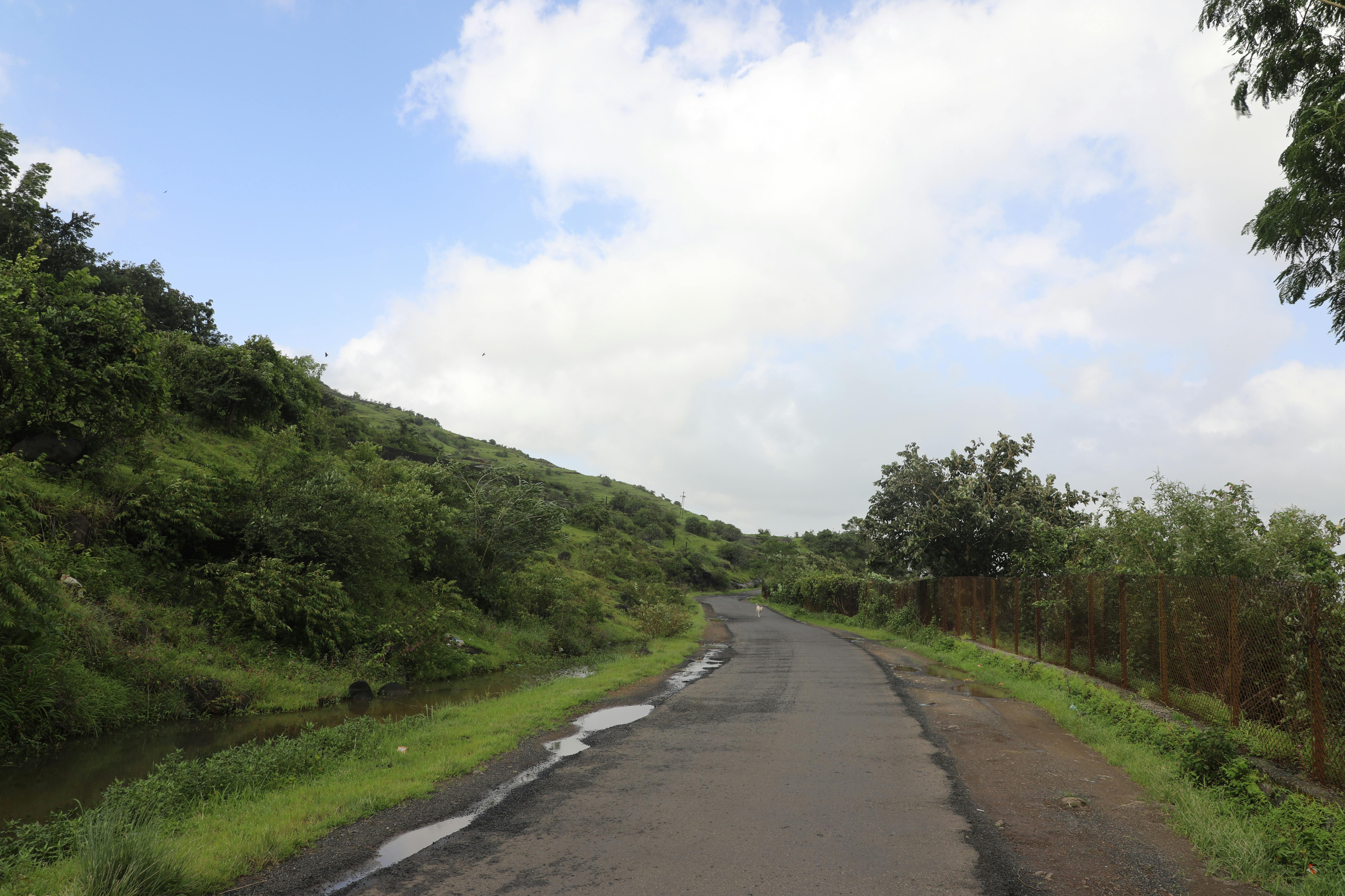 PLR Road