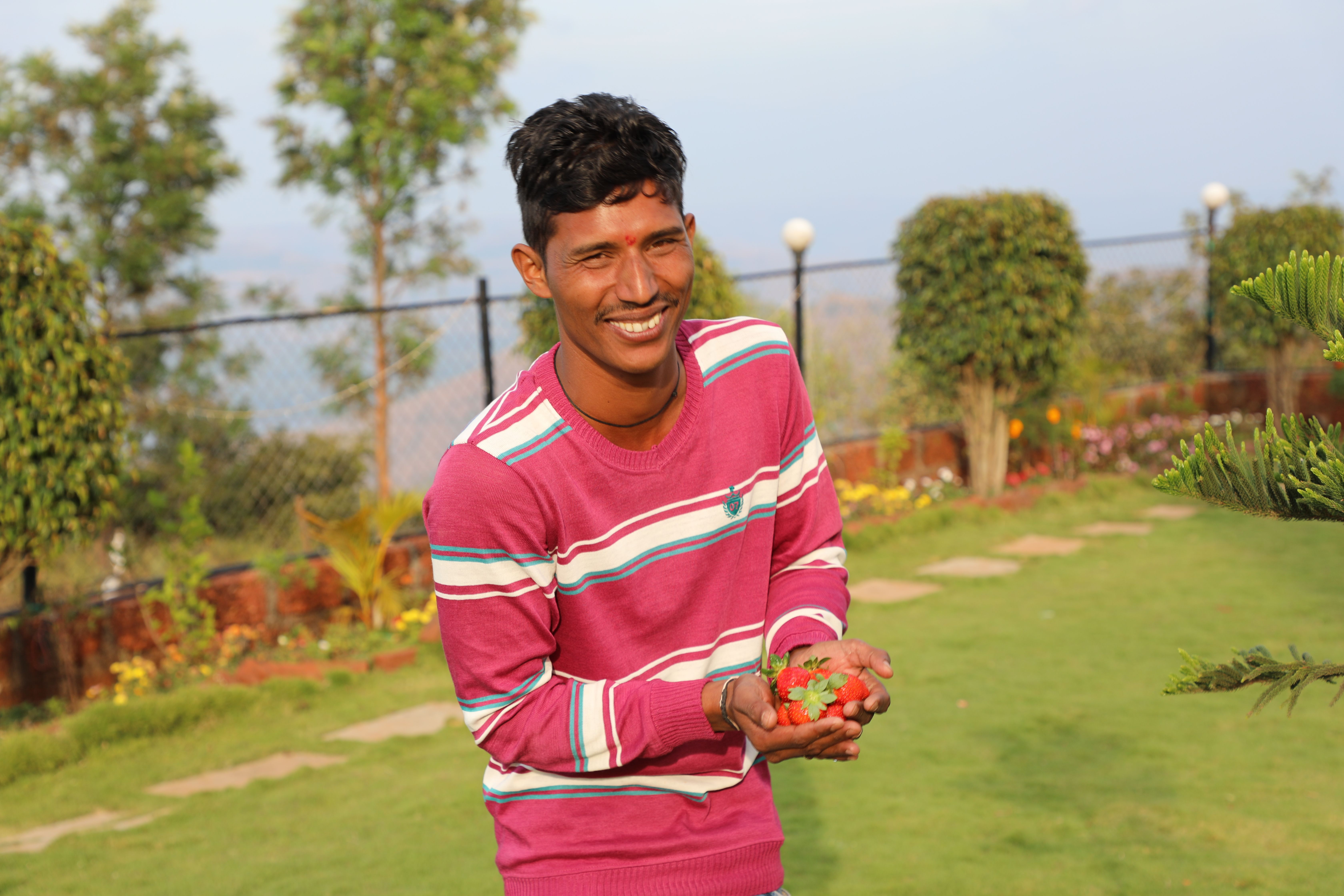 A joyful man holds fresh strawberries in a vibrant garden setting during the day.