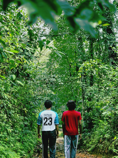 Free Two individuals walking on a forest trail surrounded by vibrant green foliage. Stock Photo