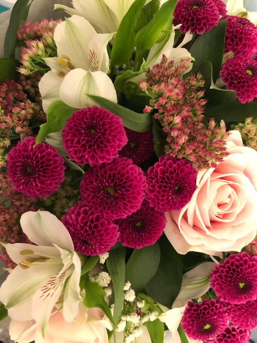 Free A beautiful arrangement of pink roses, purple chrysanthemums, and white lilies creating a vibrant floral bouquet. Stock Photo