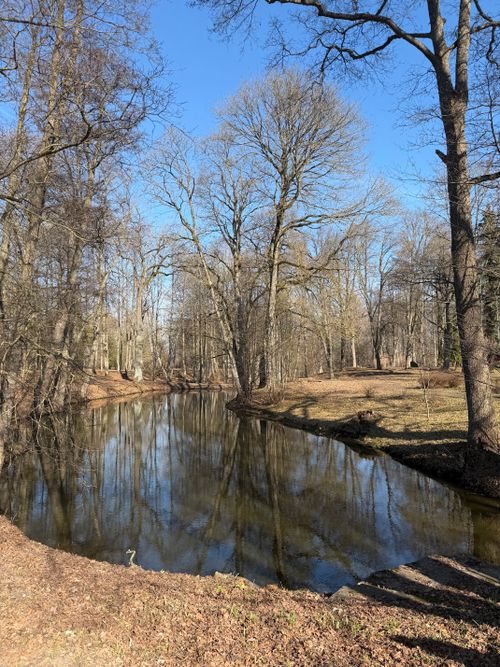 Free Peaceful river scene in a Latvian park with bare trees under a clear blue sky. Stock Photo