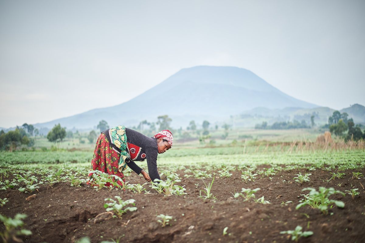Agroforestry Practices for Urban Spaces — Green Revolution Farmers