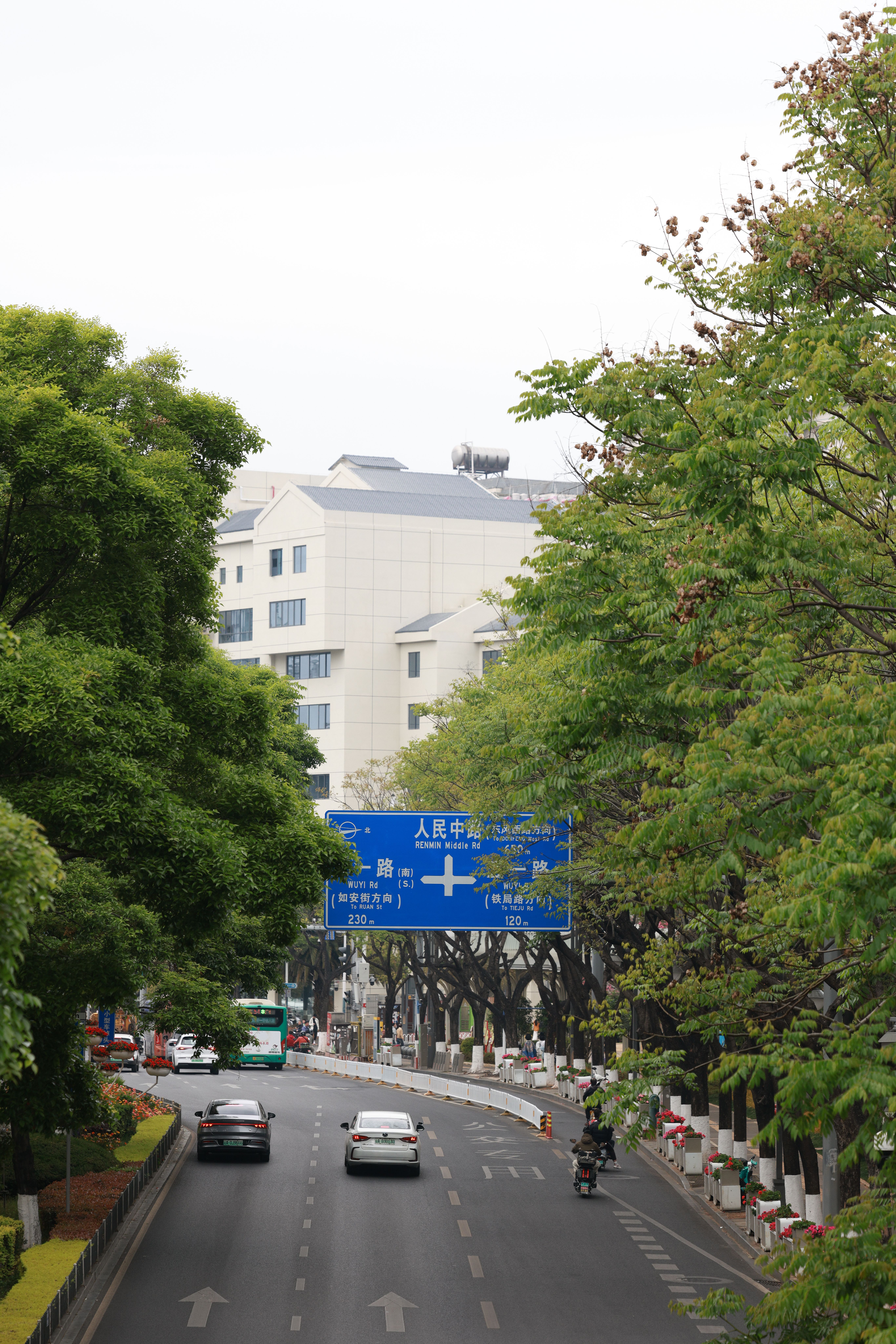 Urban Street Scene with Greenery and Traffic · Free Stock Photo