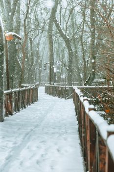 A tranquil snow-covered path through a winter forest with gentle snowfall and bare trees.