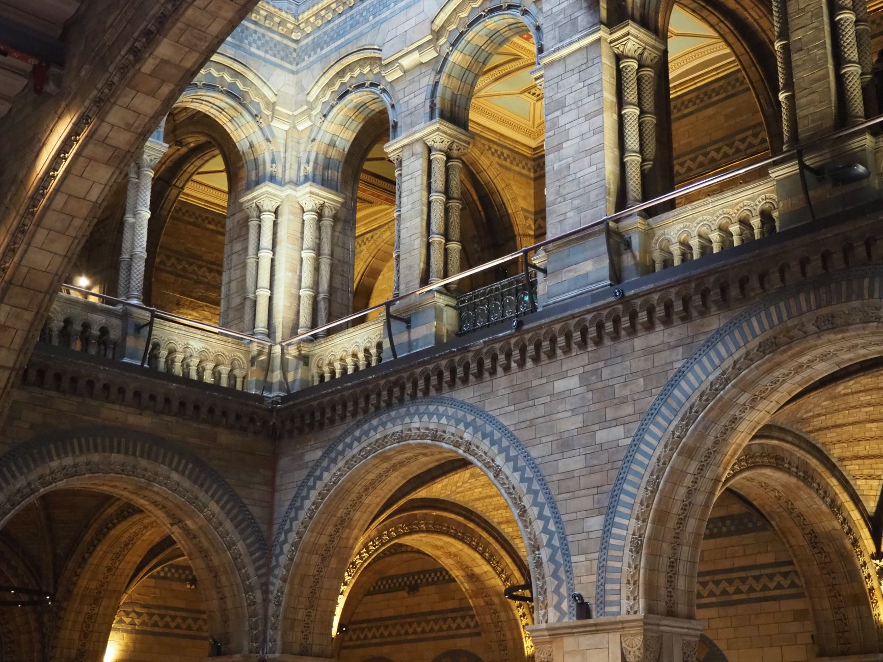 Natural History Museum Shop