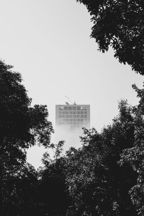 Free A captivating black and white photo of a tower amidst mist and trees in Taipei, Taiwan. Stock Photo