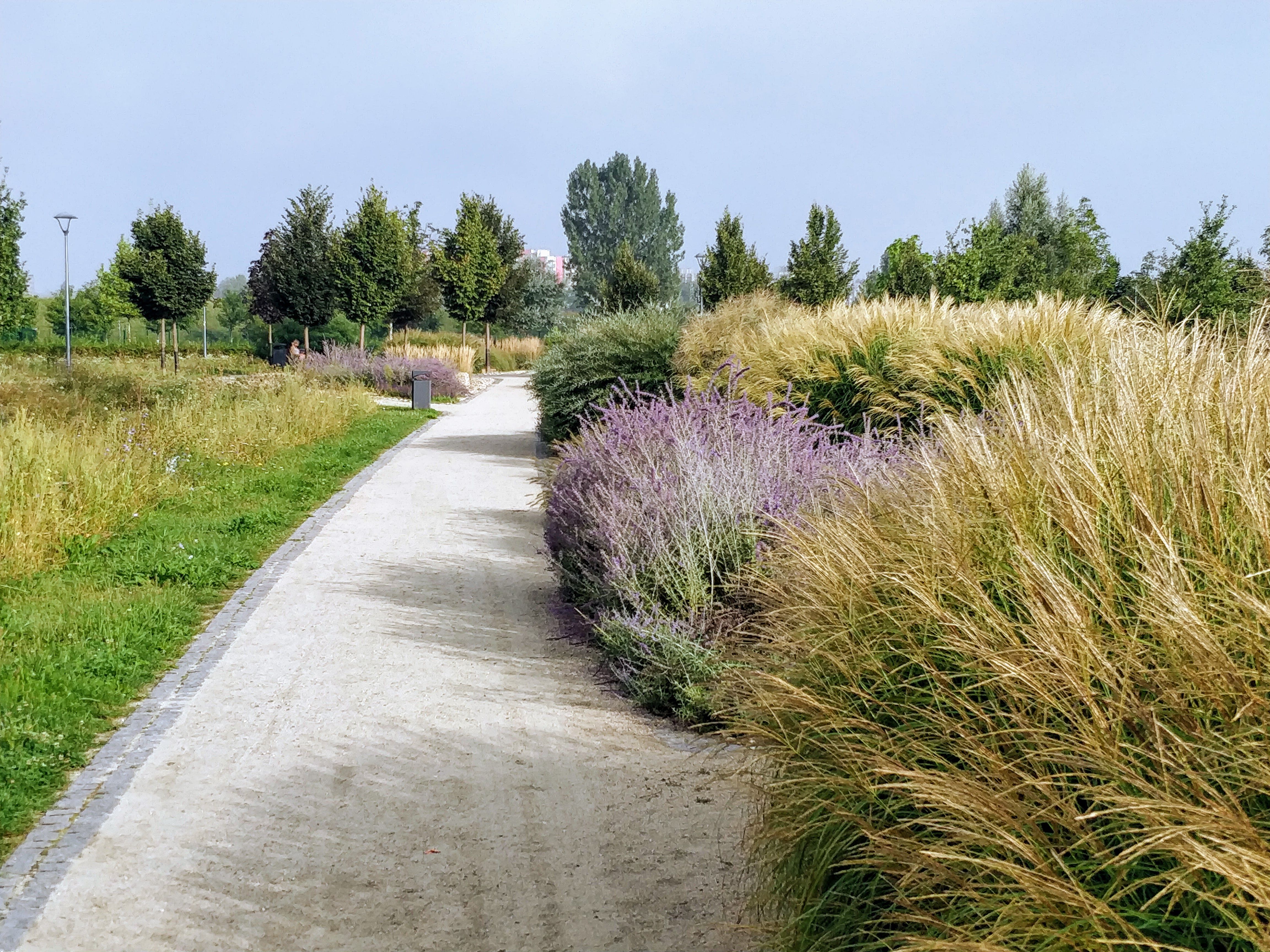Gartenplanung und Beratung
