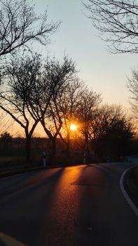 Peaceful road winding through trees under a sunset sky in Moltzow, Germany.