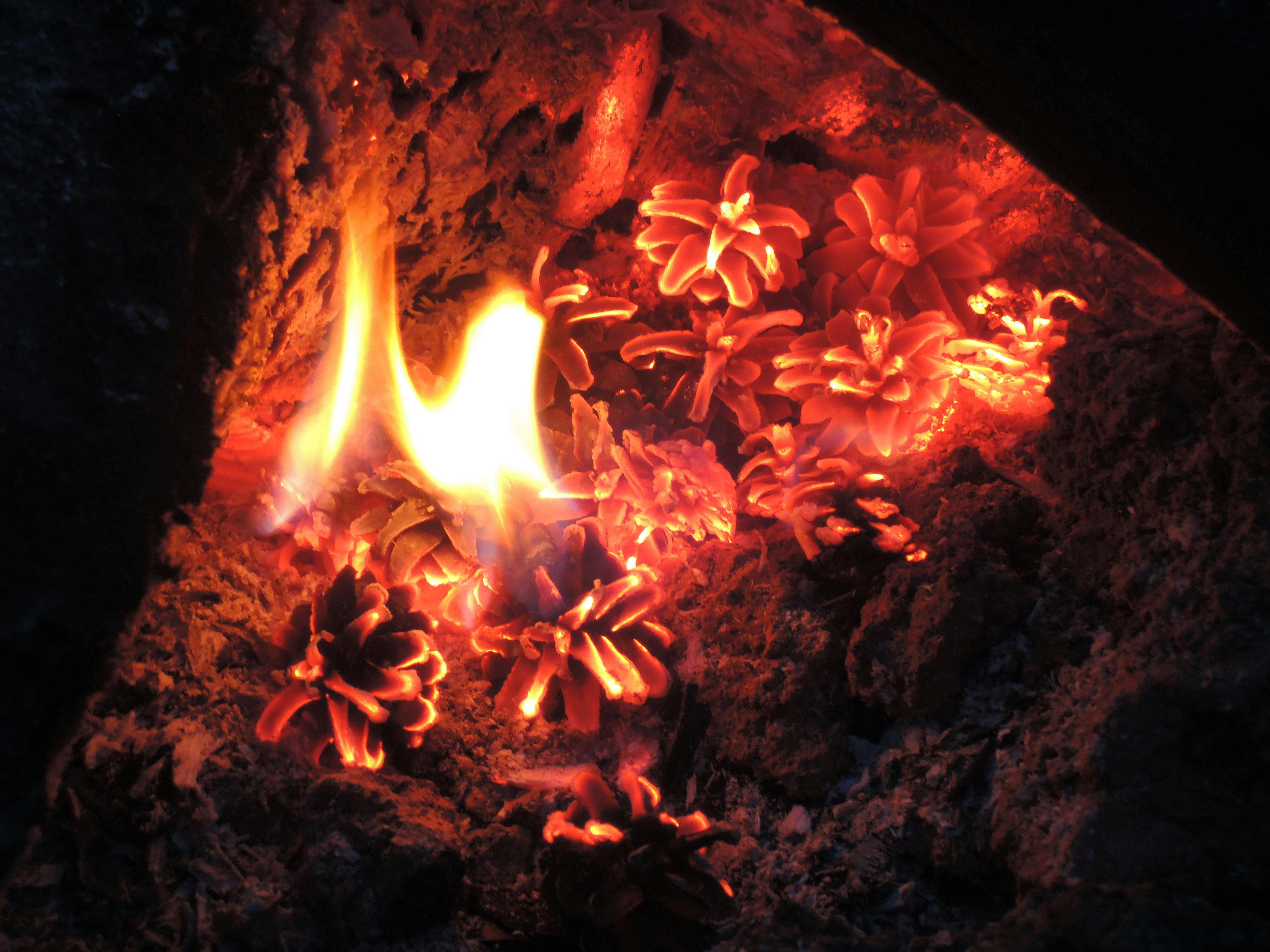 Free stock photo of black, fire, fire place