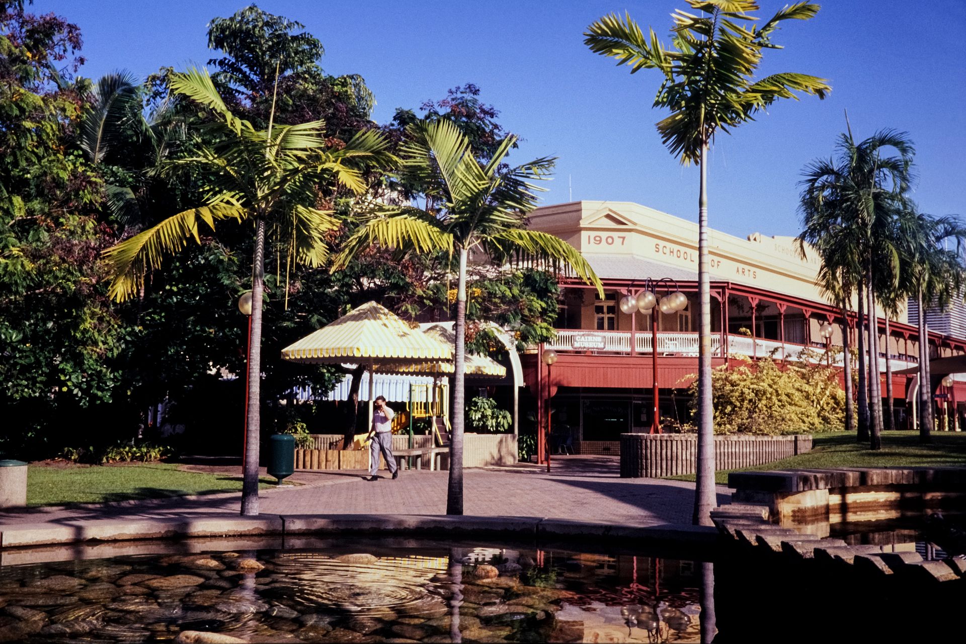 Cairns city building with palm trees