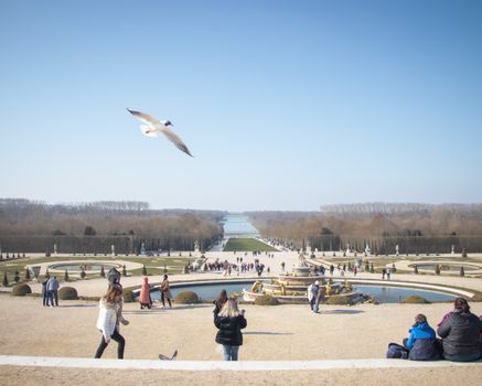 Versailles garden tour before the crowds — Paris