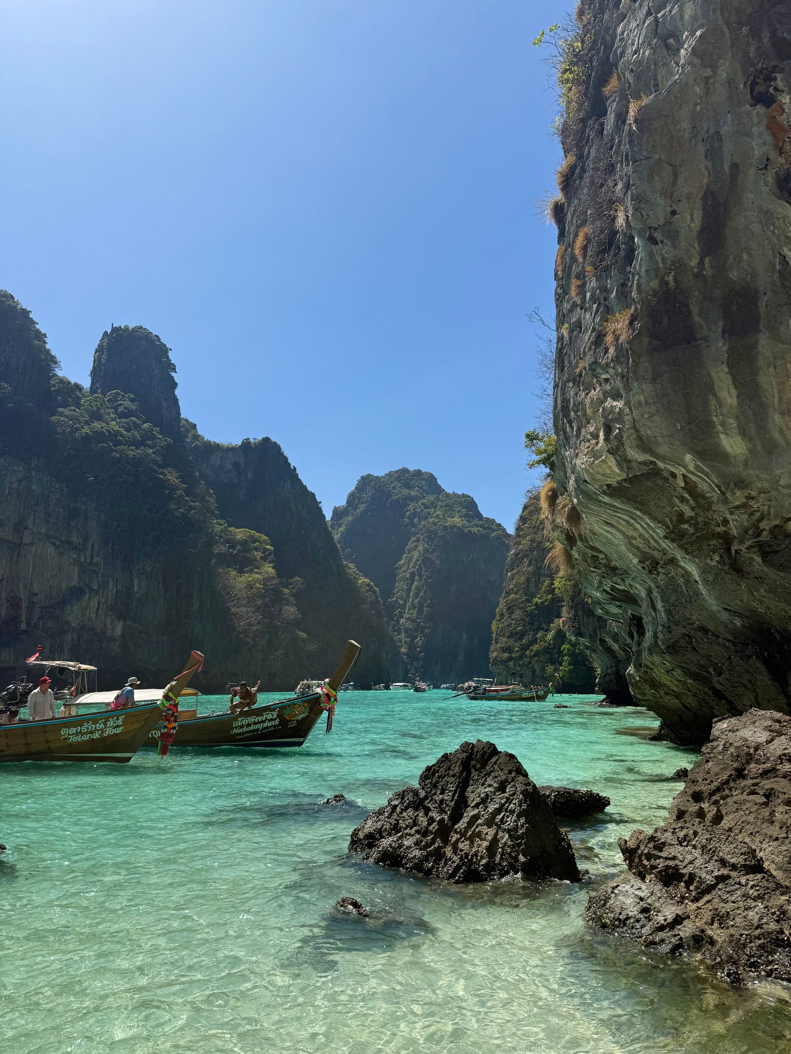 Longtail boats in a turquoise lagoon beneath limestone cliffs in the Phi Phi Islands