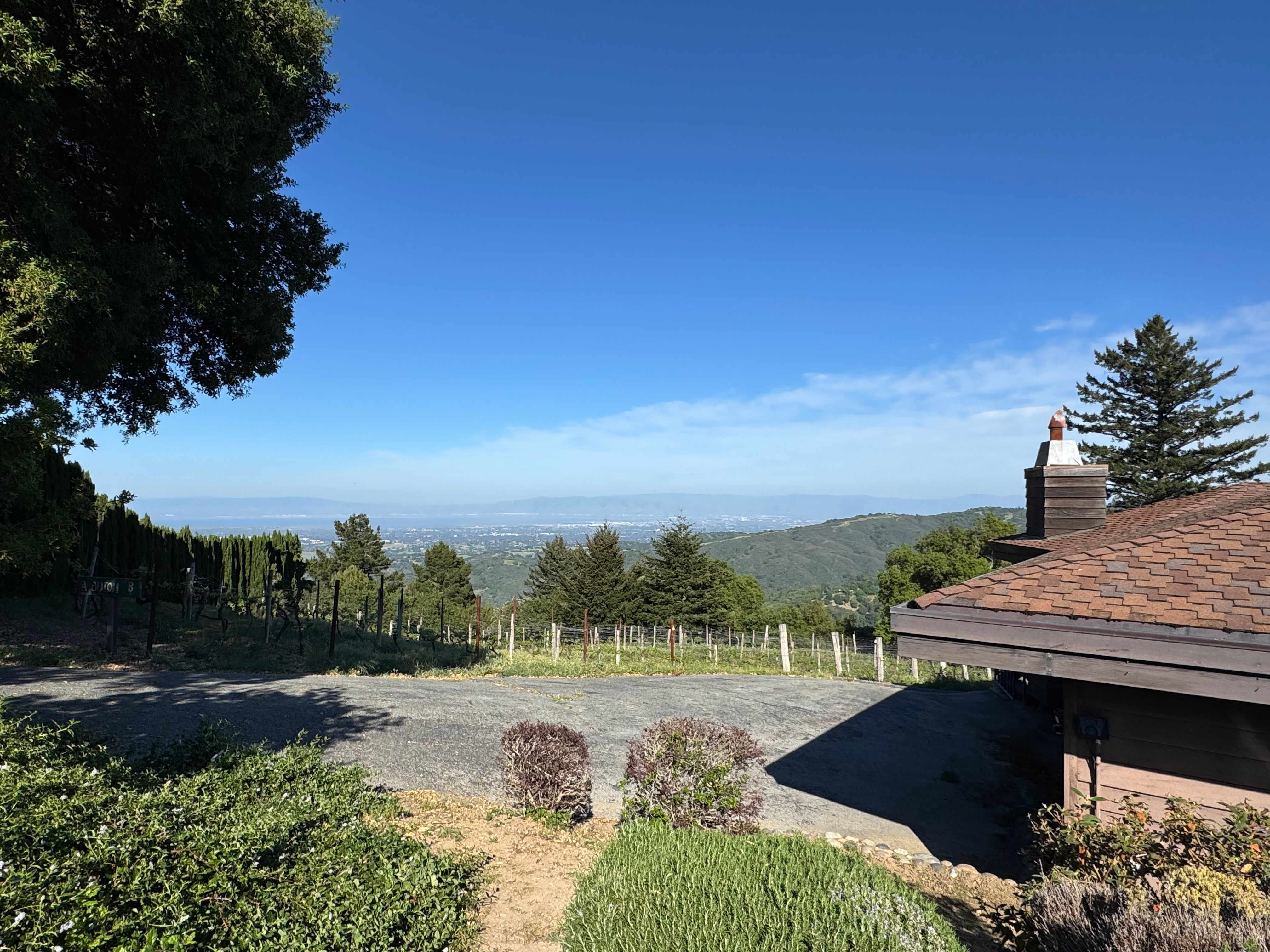 Beautiful landscape view over hills and vegetation in Woodside, California, under a clear blue sky.
