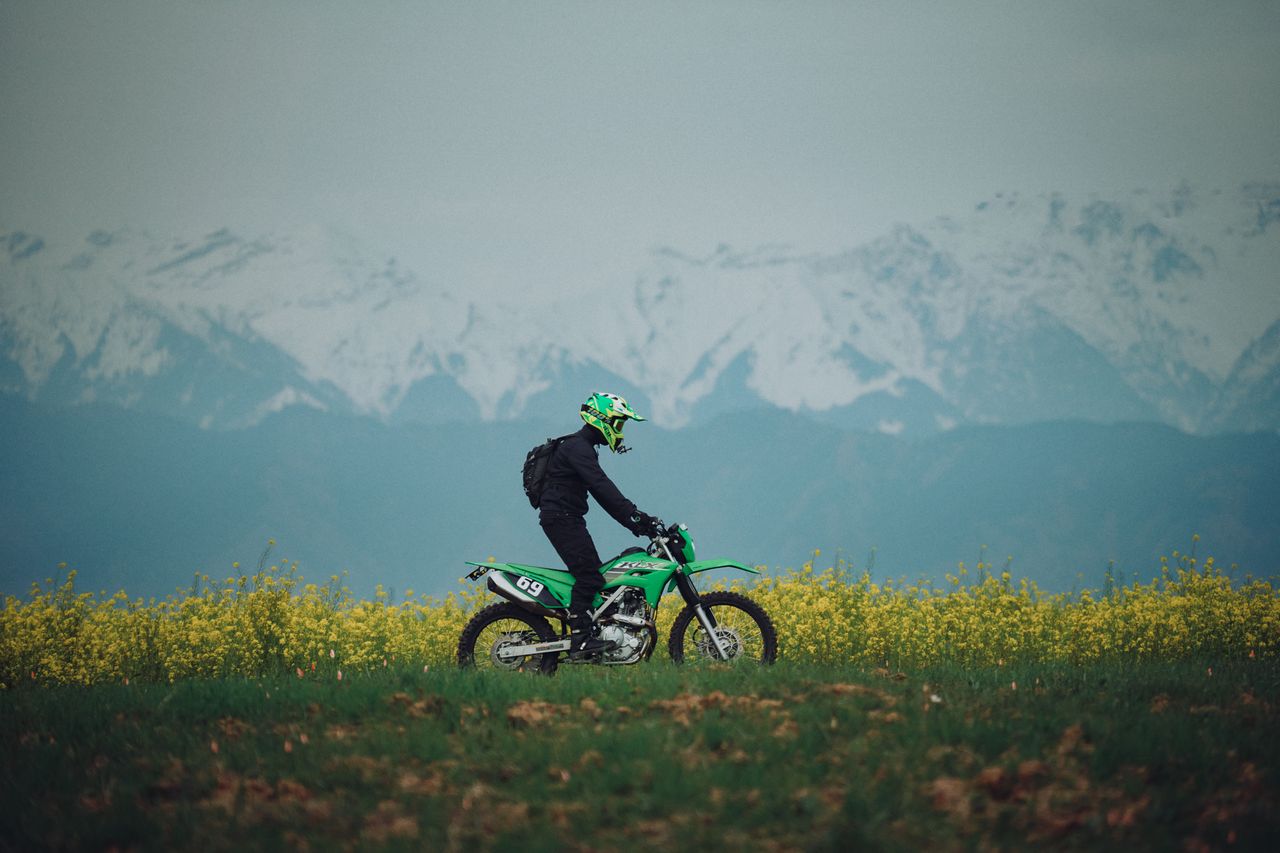 a motorcyclist rides through a vibrant mustard field in pampore kashmi