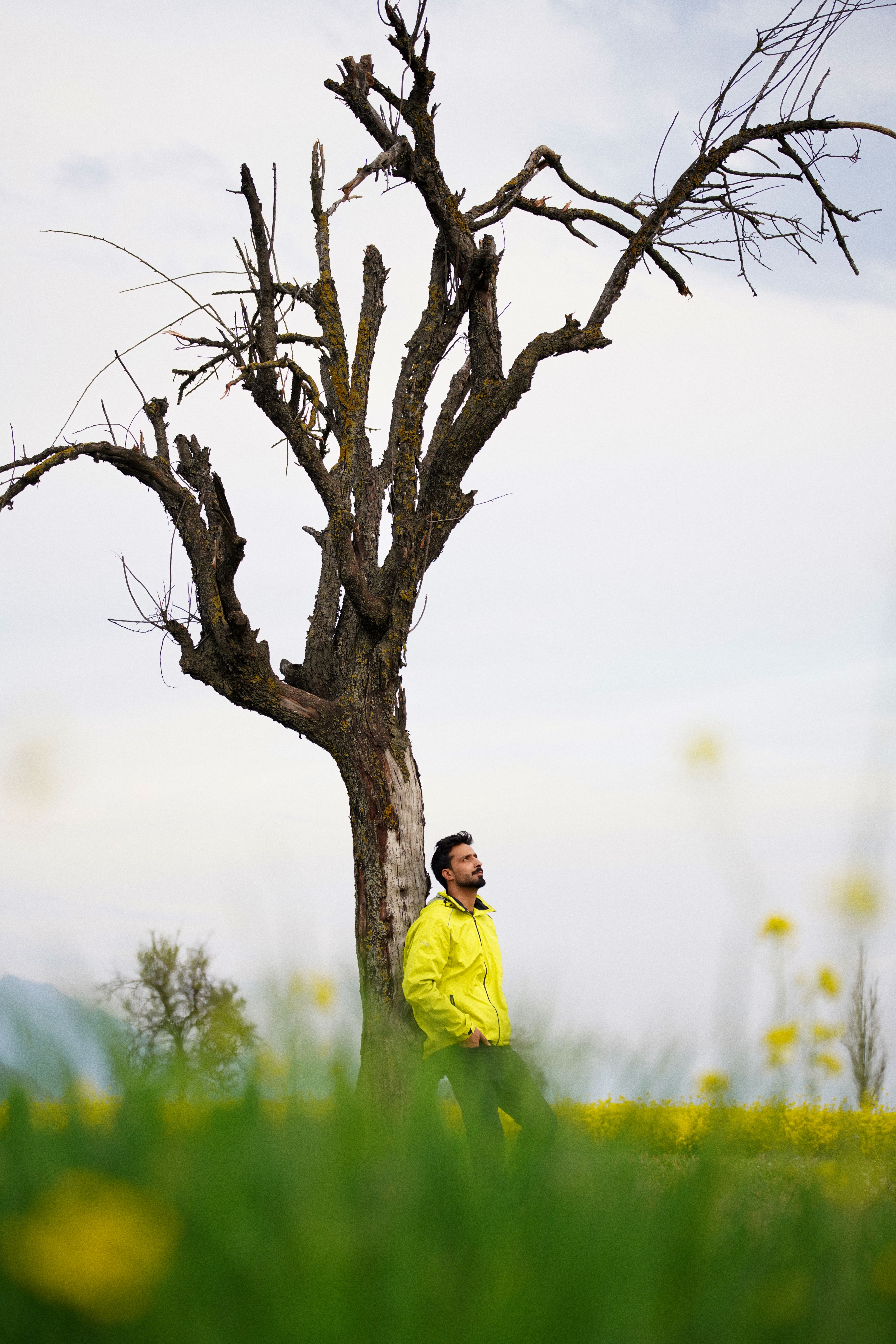 Man in Yellow Jacket by Leafless Tree in Pampore · Free Stock Photo