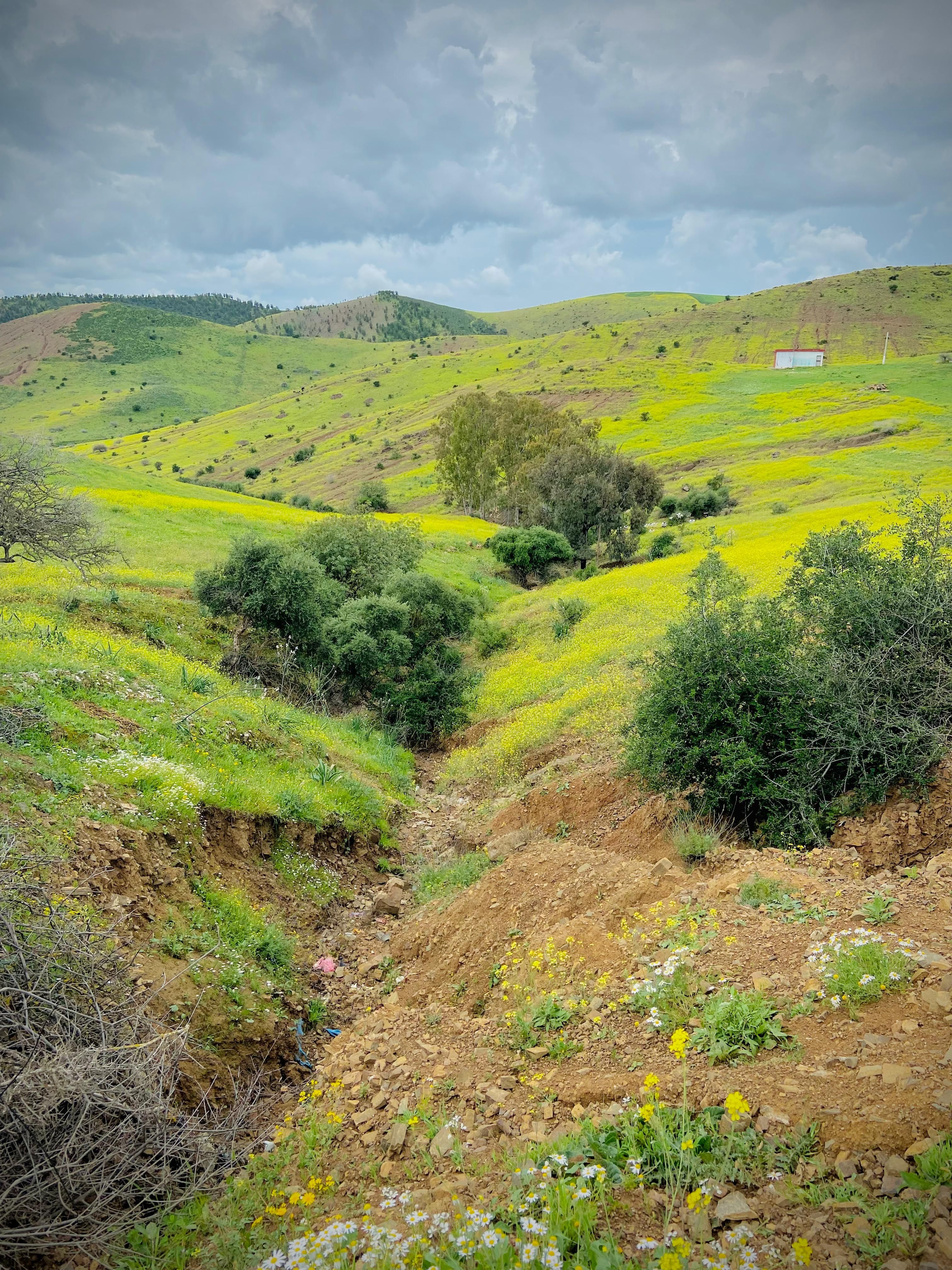 Lush green hills under cloudy skies, showcasing vibrant spring colors and a serene landscape.