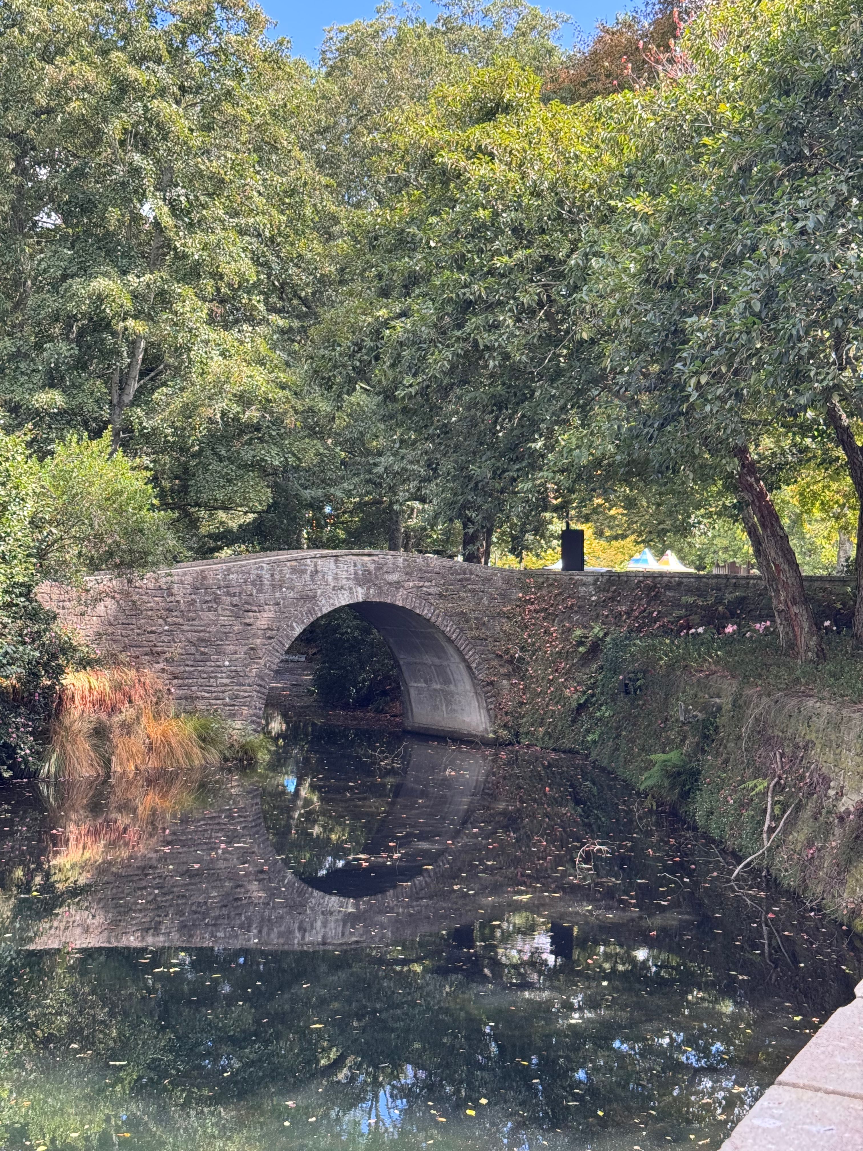Scenic Stone Bridge Over Calm Forest Stream · Free Stock Photo