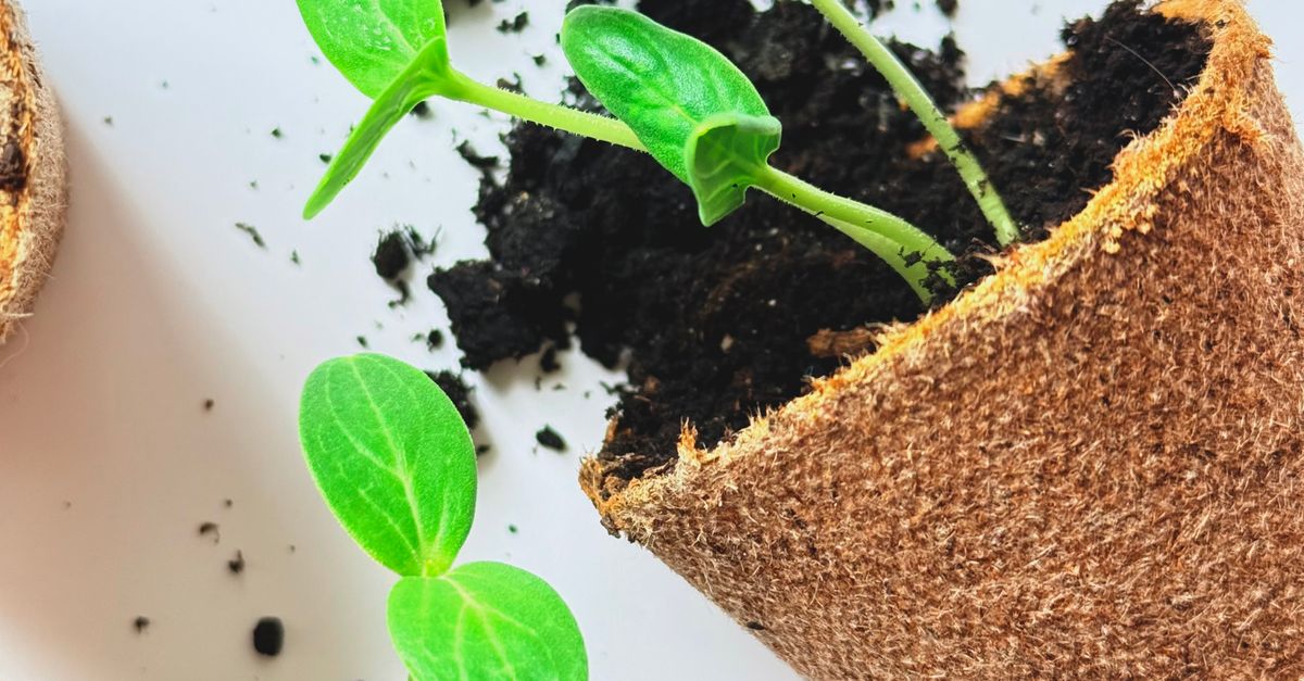 Why is biodegradable materials research gaining commercial interest? Why is biodegradable materials research gaining commercial interest?