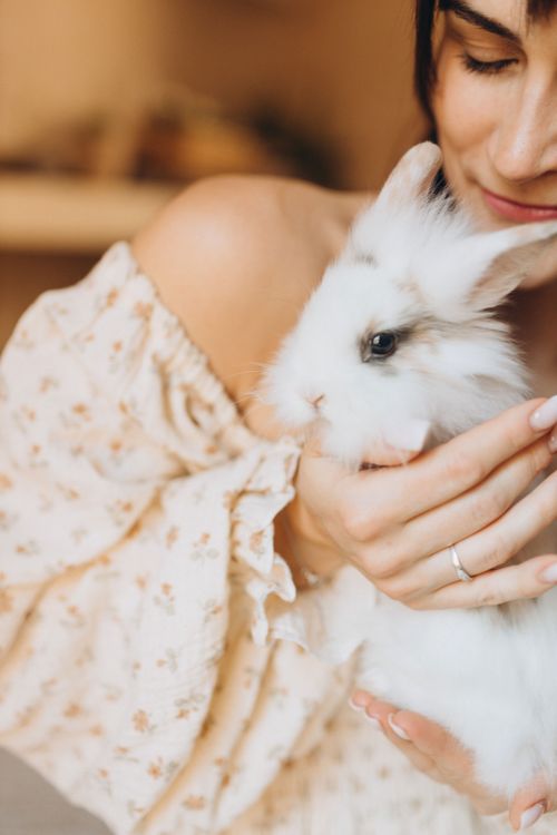 Free A young woman lovingly cradles a fluffy white rabbit indoors, exuding warmth and care. Stock Photo