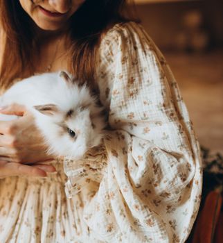 rabbit photo