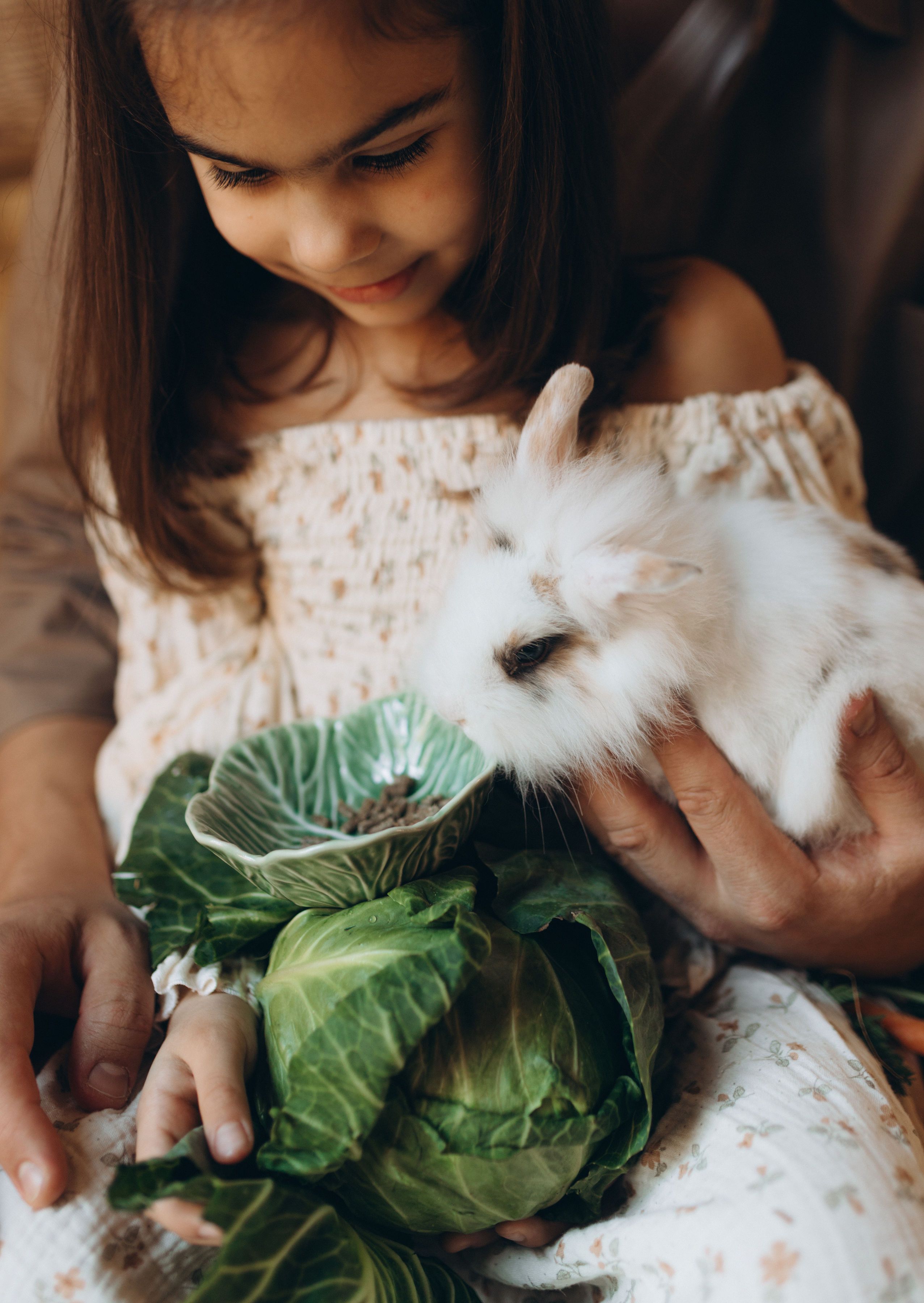 Young Girl Holding a Cute White Rabbit · Free Stock Photo