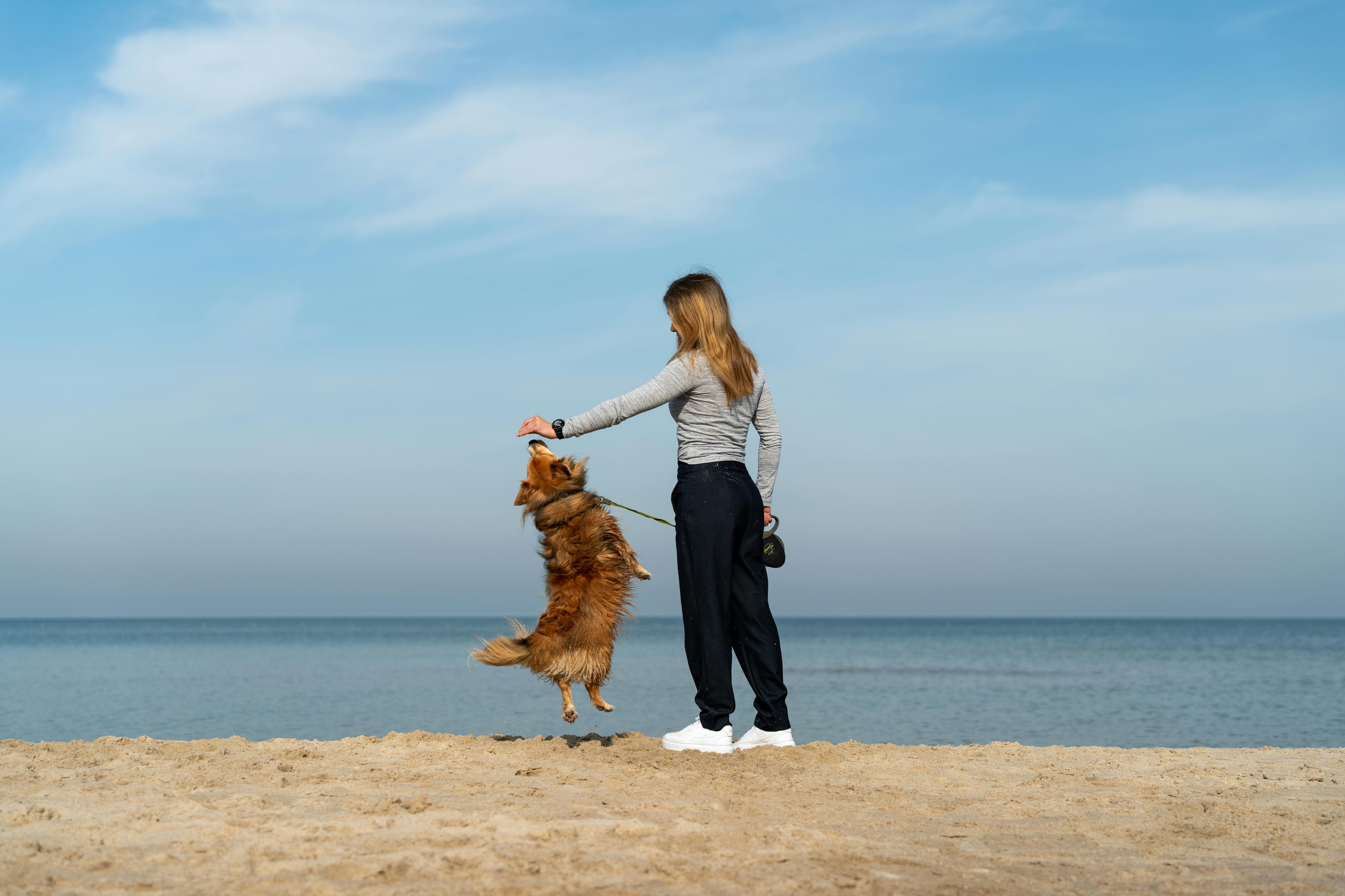 pet lifestyle more lifestyle pets — Photo by Michał Robak on Pexels