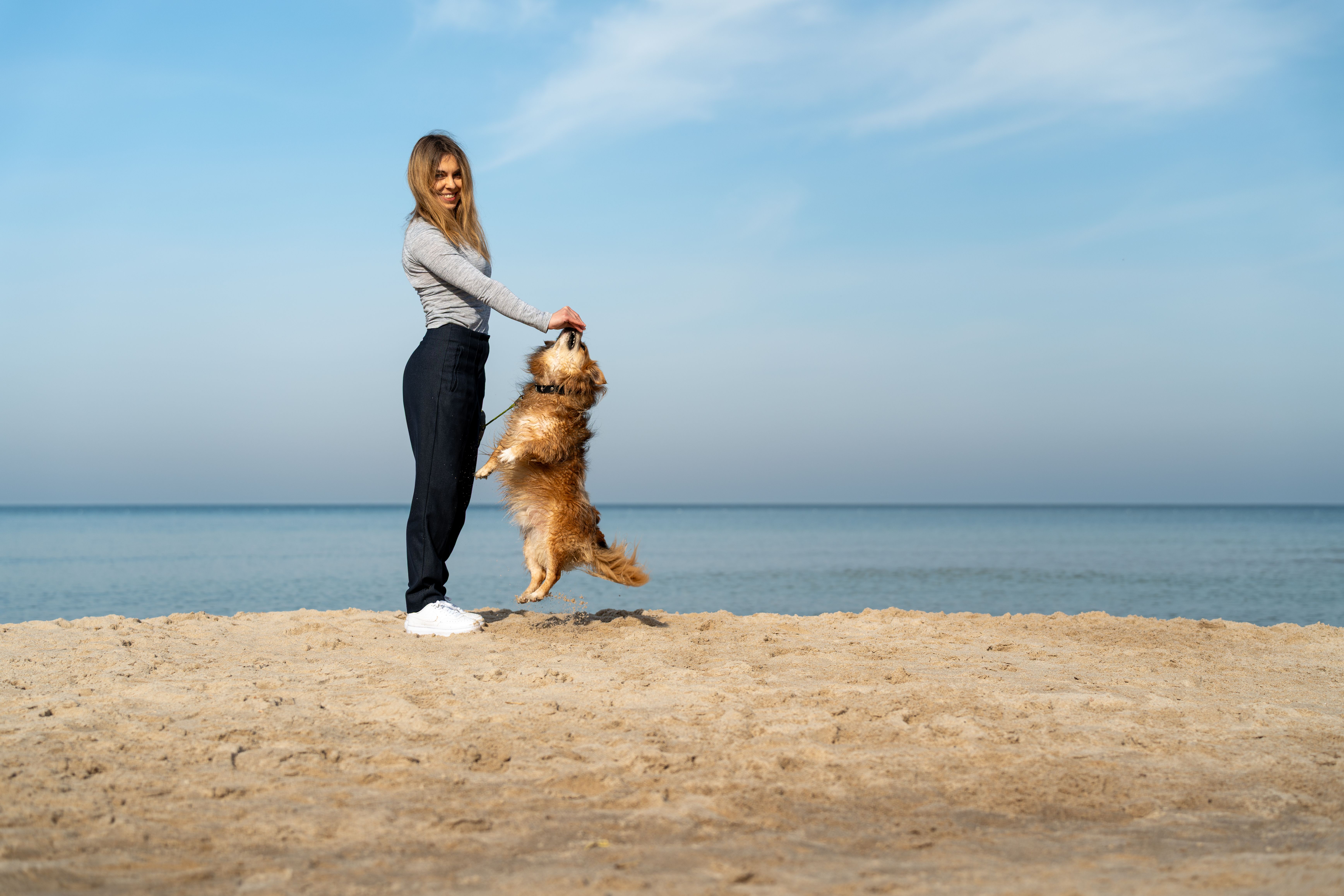 Welling Wagging Tails