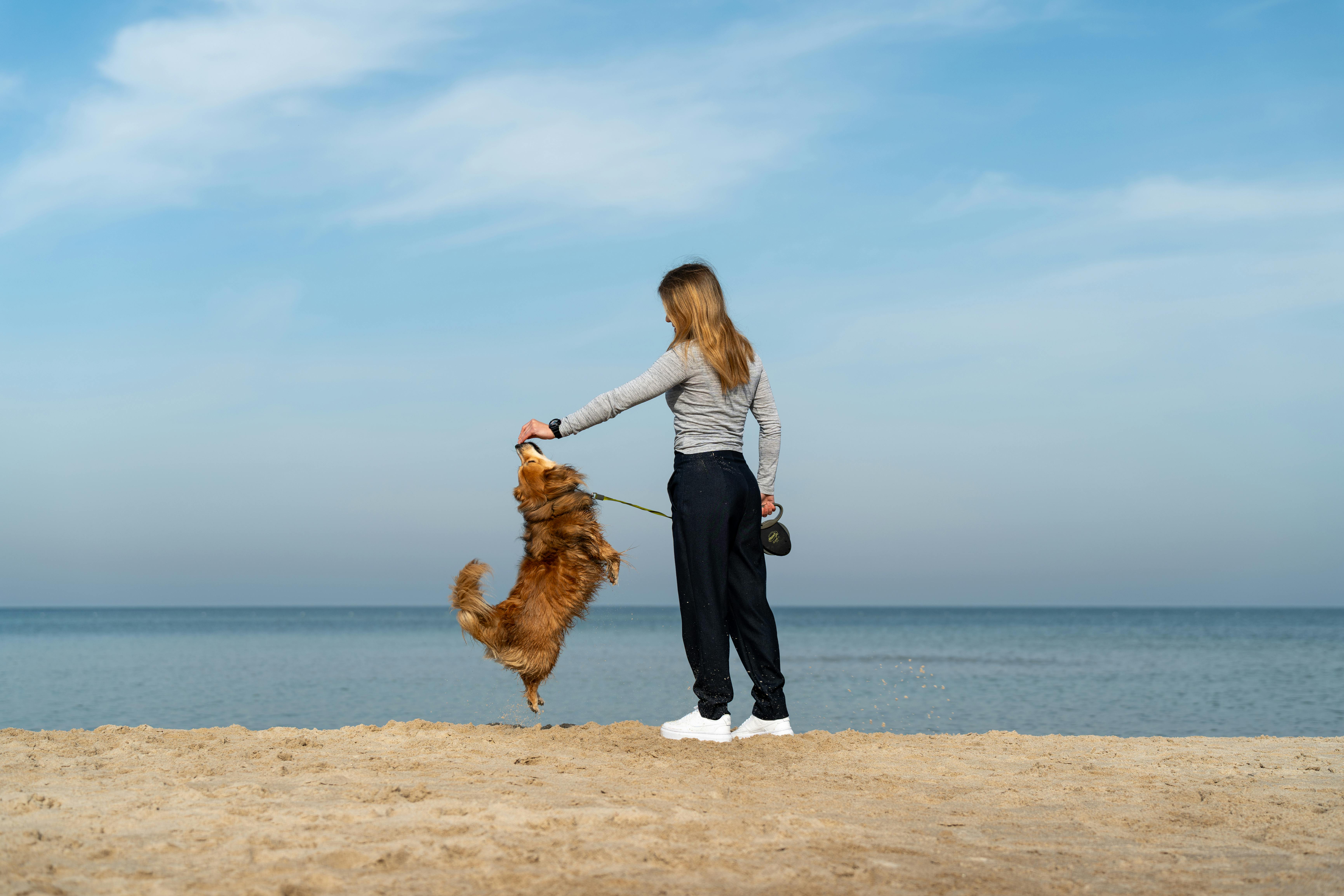 pet lifestyle pets lifestyle — Photo by Michał Robak on Pexels