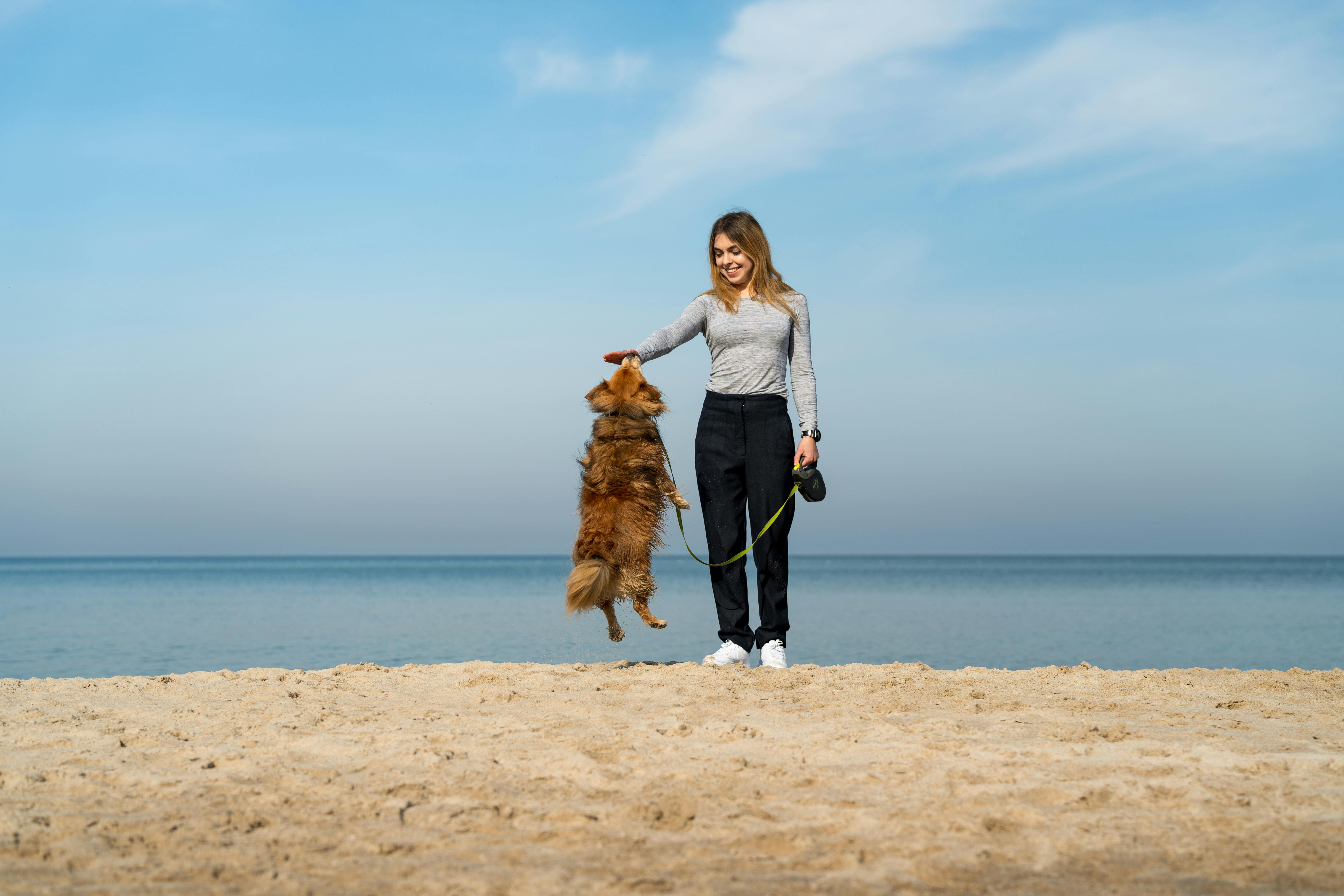 pet lifestyle pets lifestyle — Photo by Michał Robak on Pexels