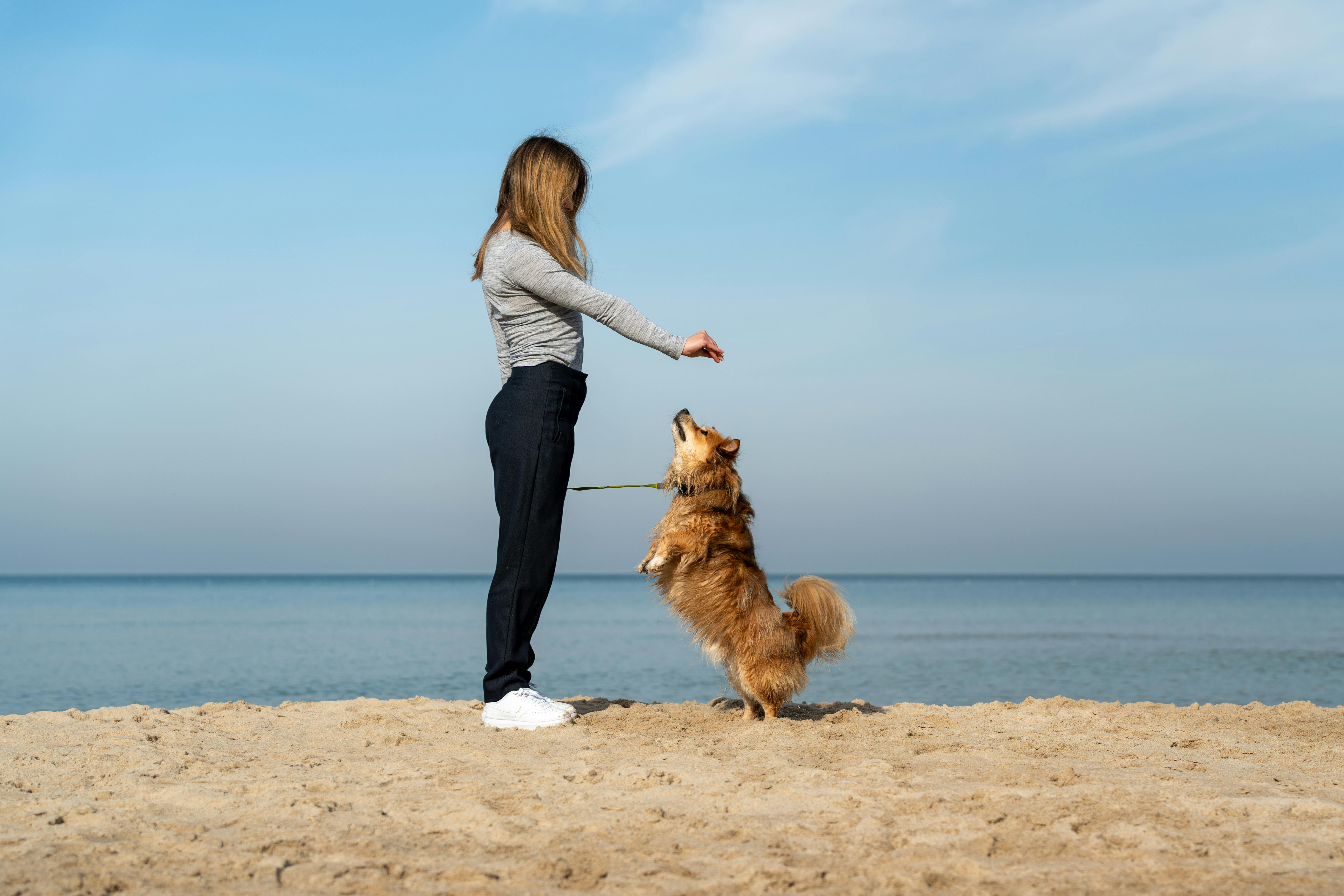 pet lifestyle pets lifestyle — Photo by Michał Robak on Pexels