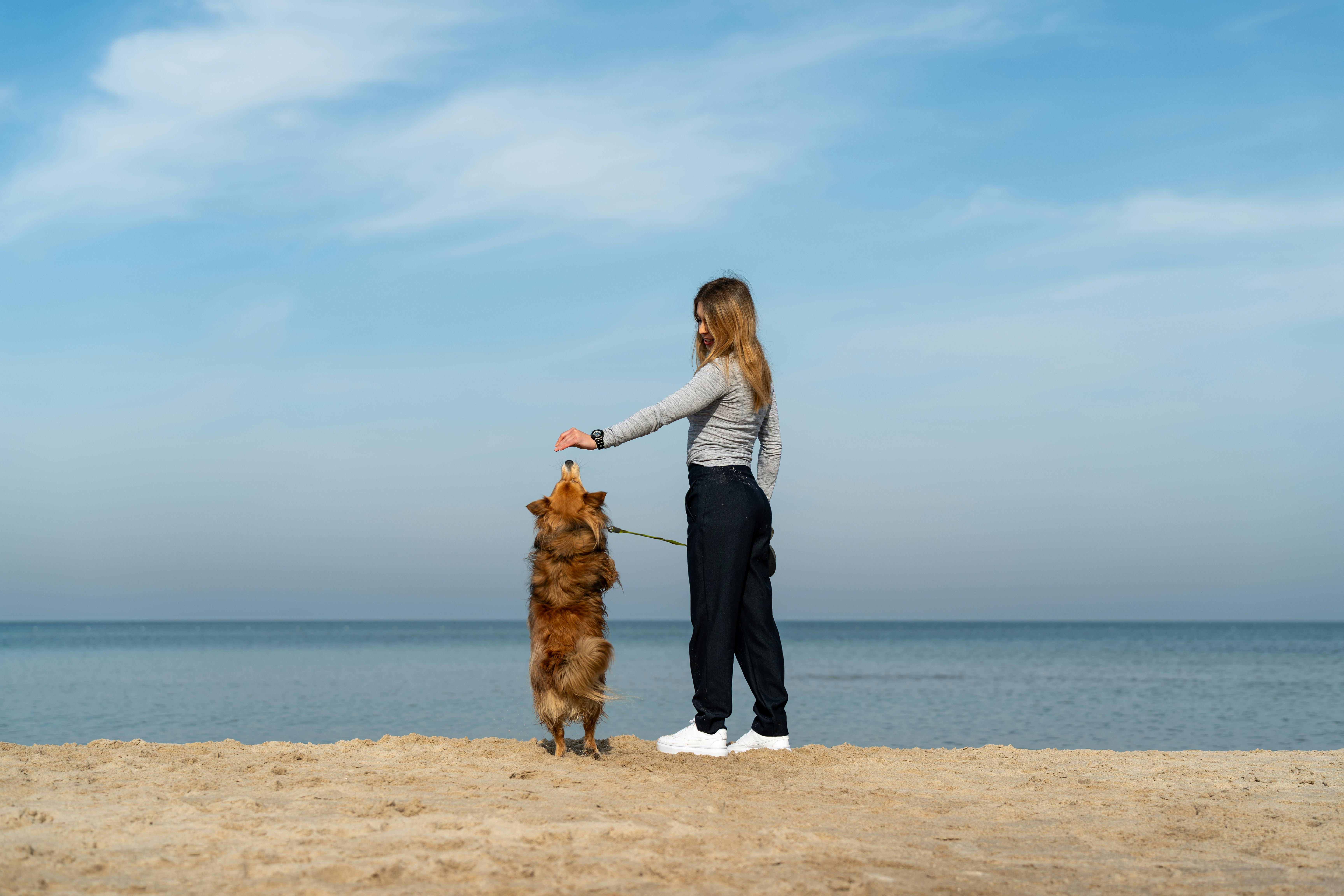 pet lifestyle pets lifestyle — Photo by Michał Robak on Pexels